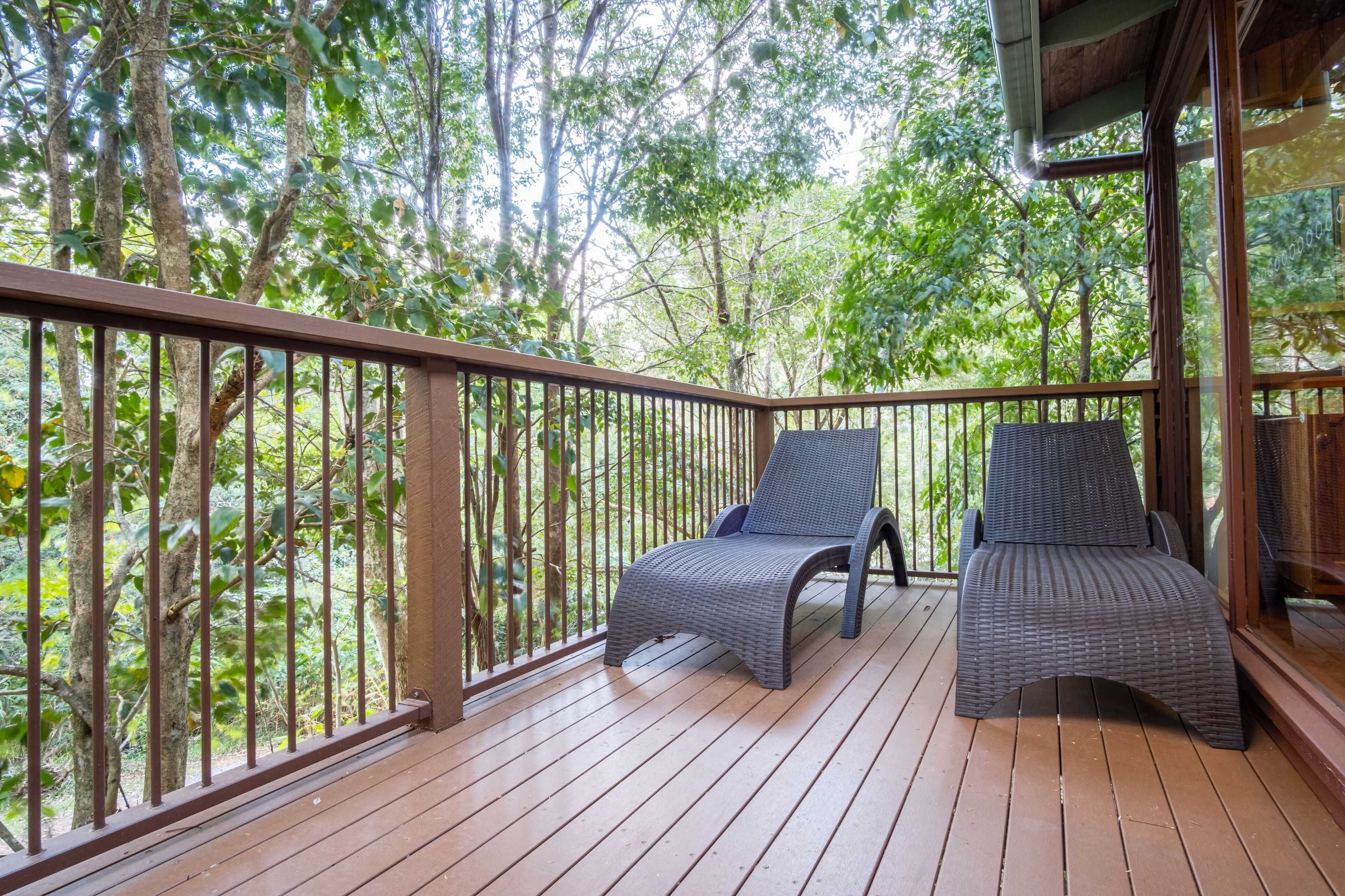 Gift card for Kondalilla Eco Resort Gift card for Kondalilla Eco Resort