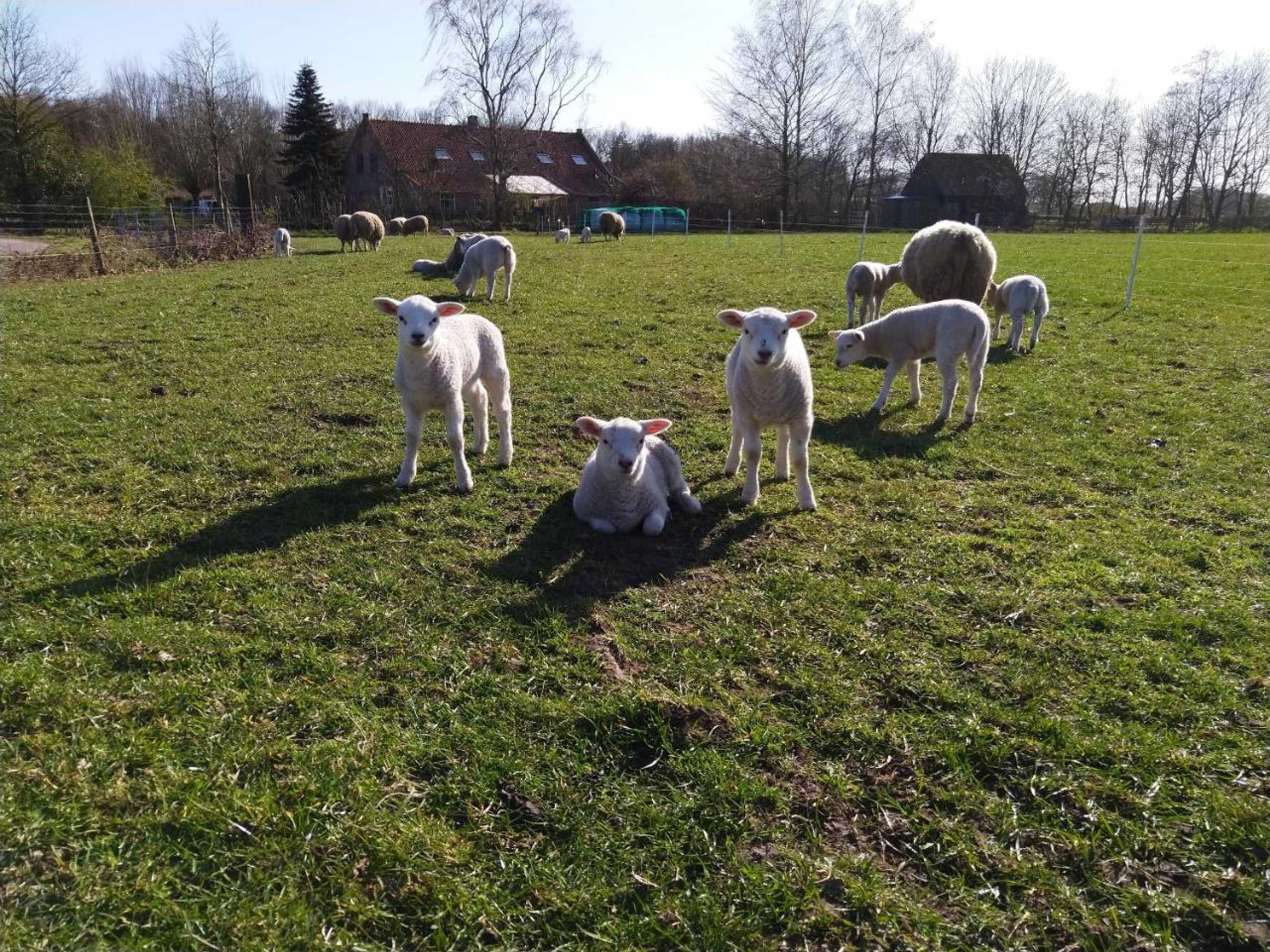 Gift card for Bed op de Reth