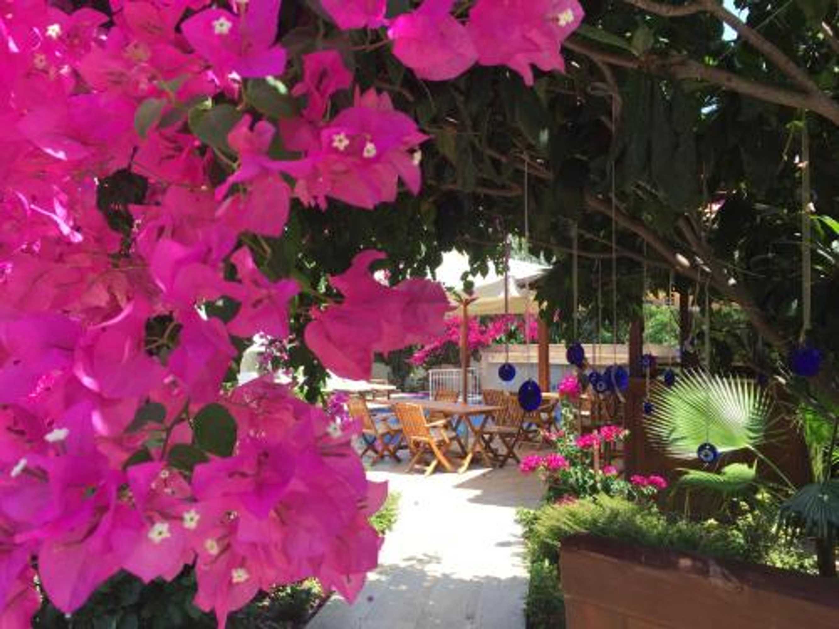 Gift card for Kybele Hotel Gocek Gift card for Kybele Hotel Gocek
