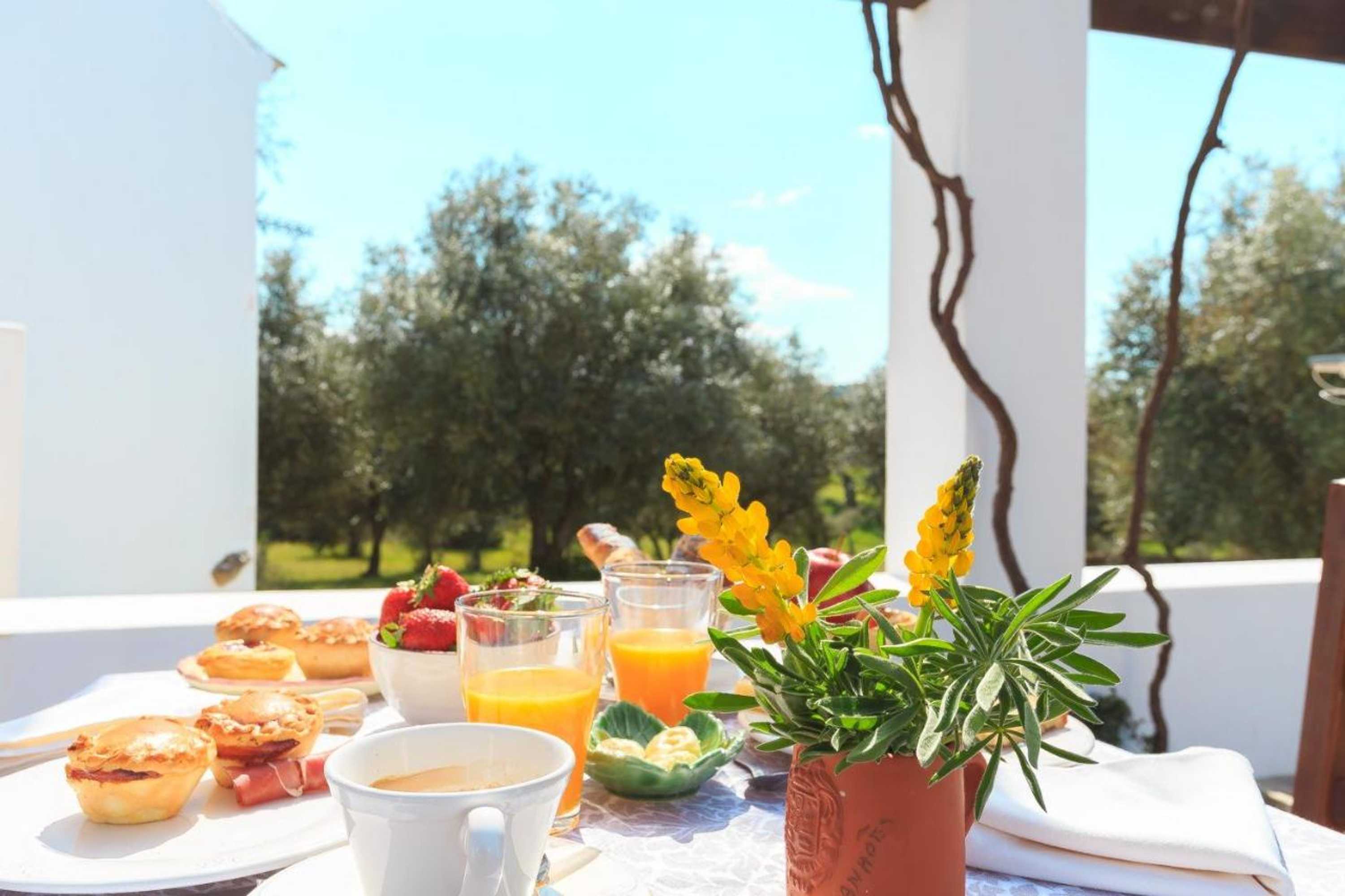 Gift card for Monte Papa Toucinho