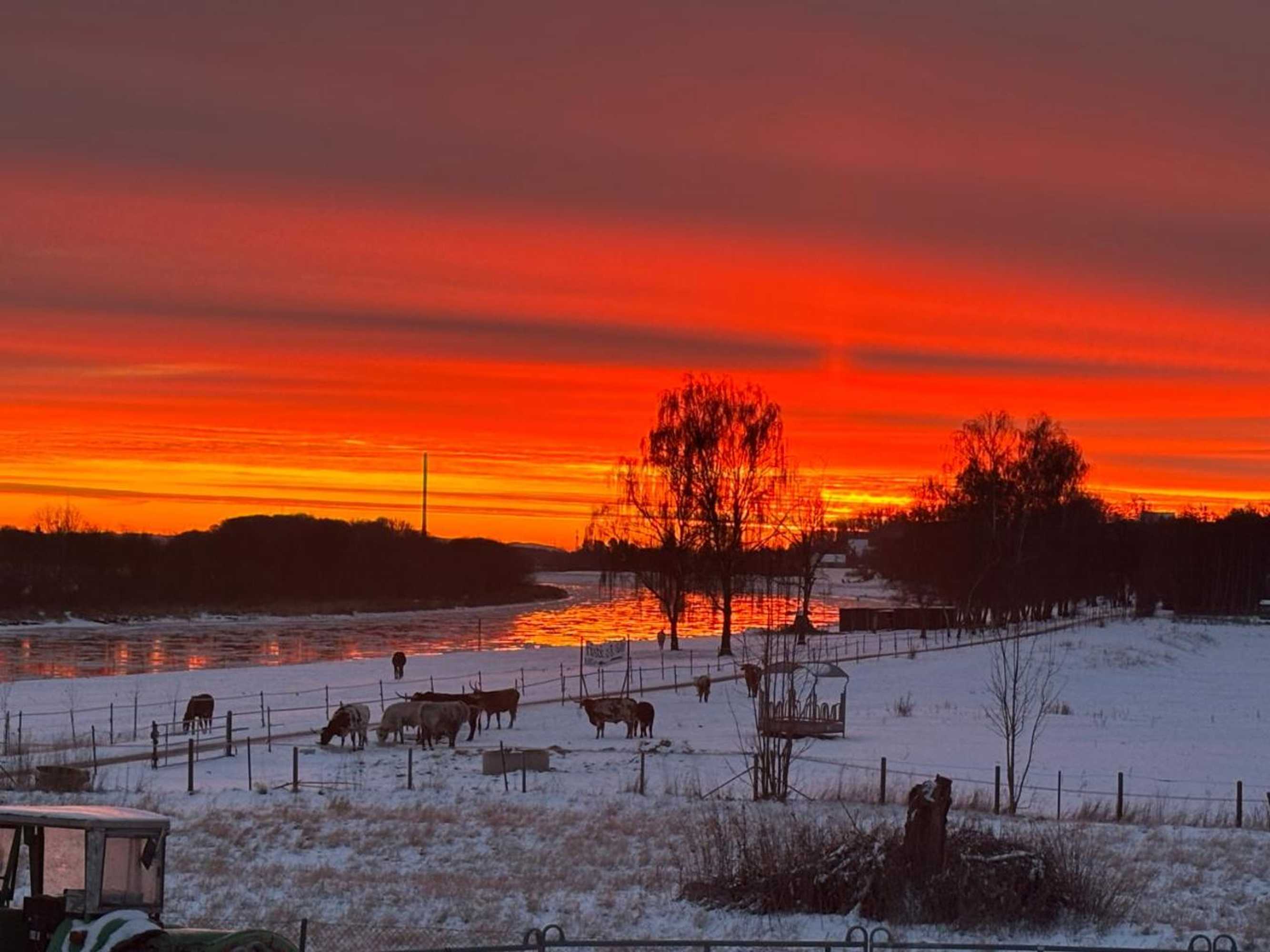 Gift card for Western-Inn