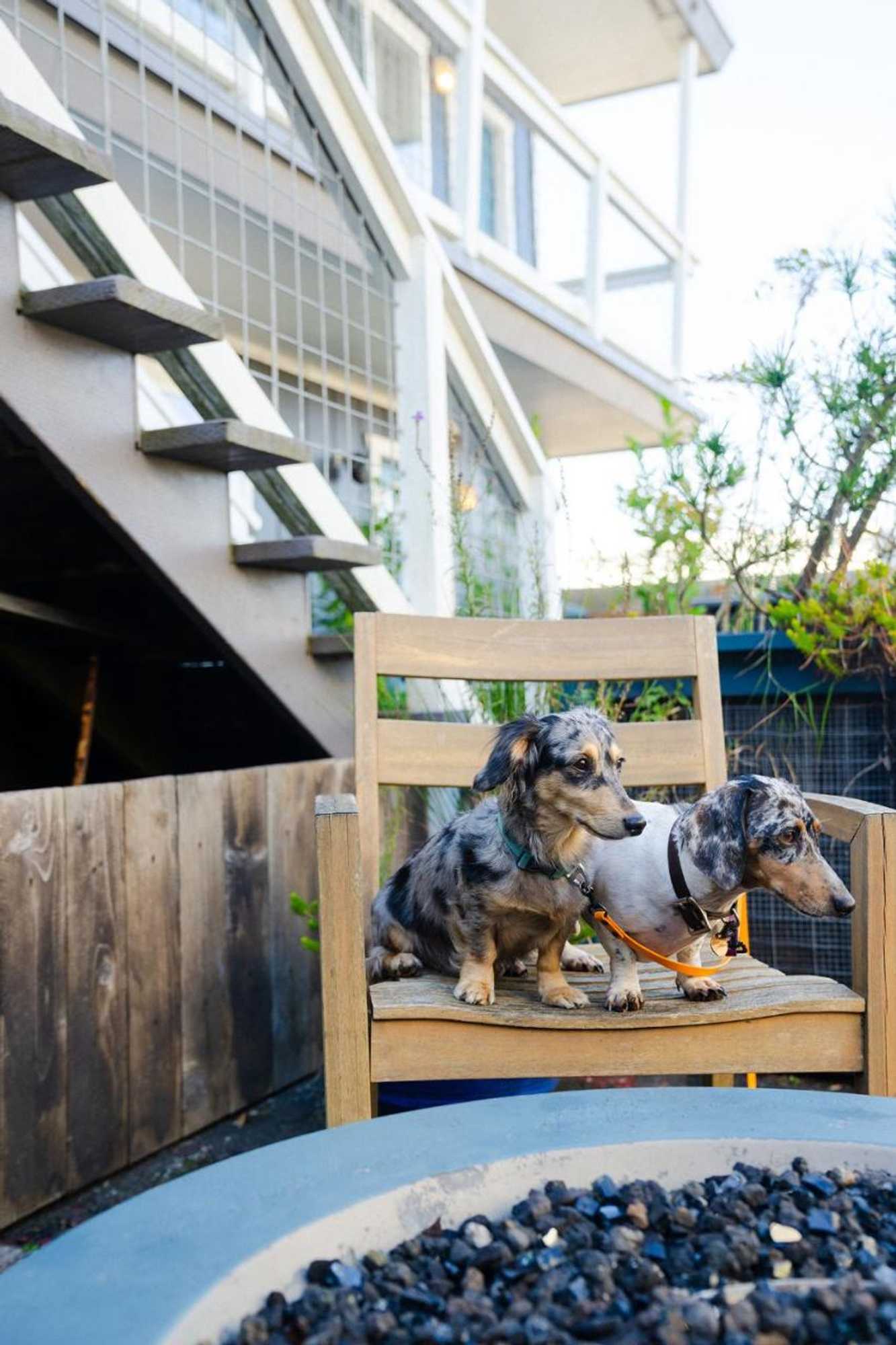 Gift card for Salt Hotel