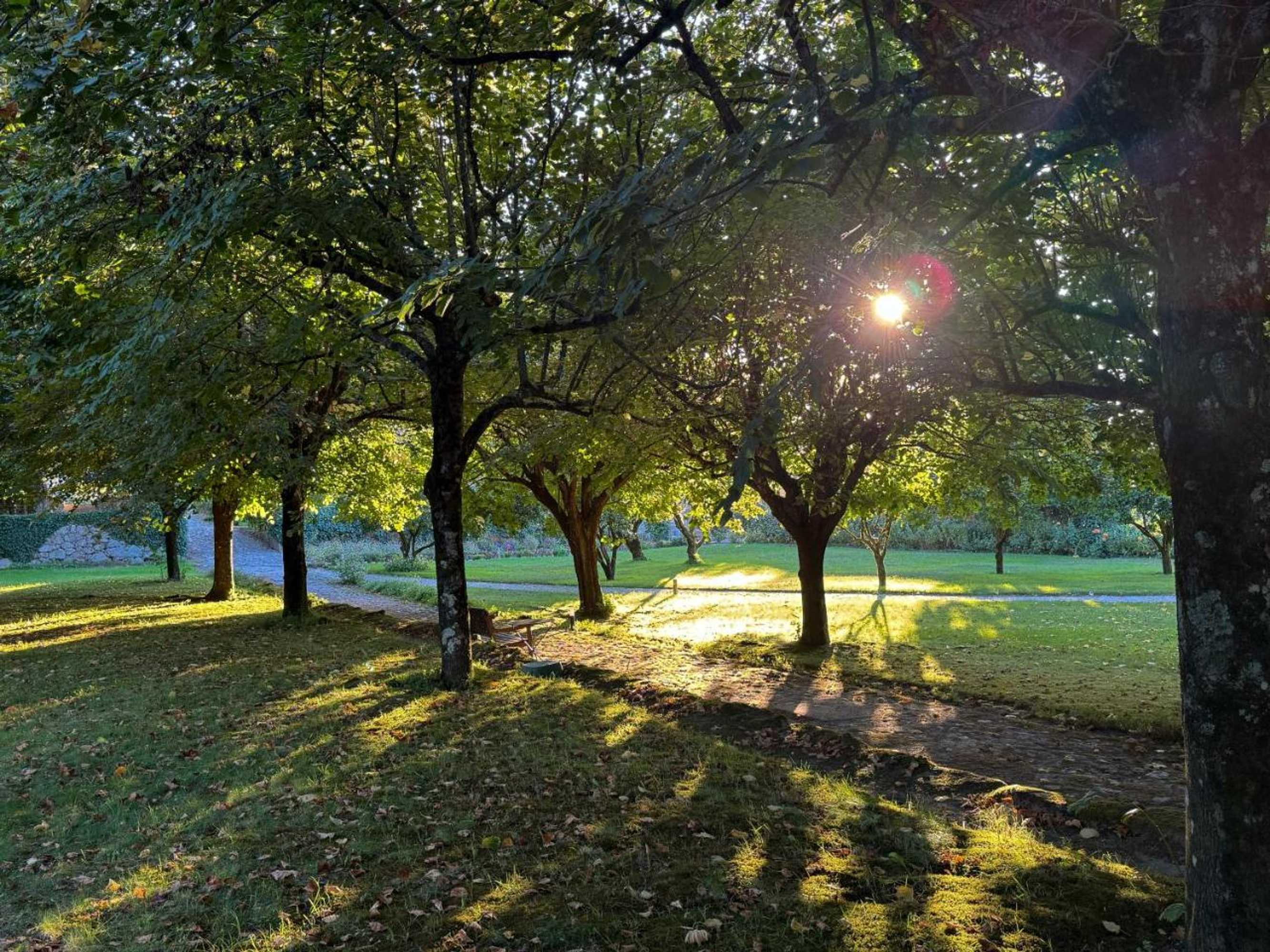 Gift card for Casa De Fatauncos