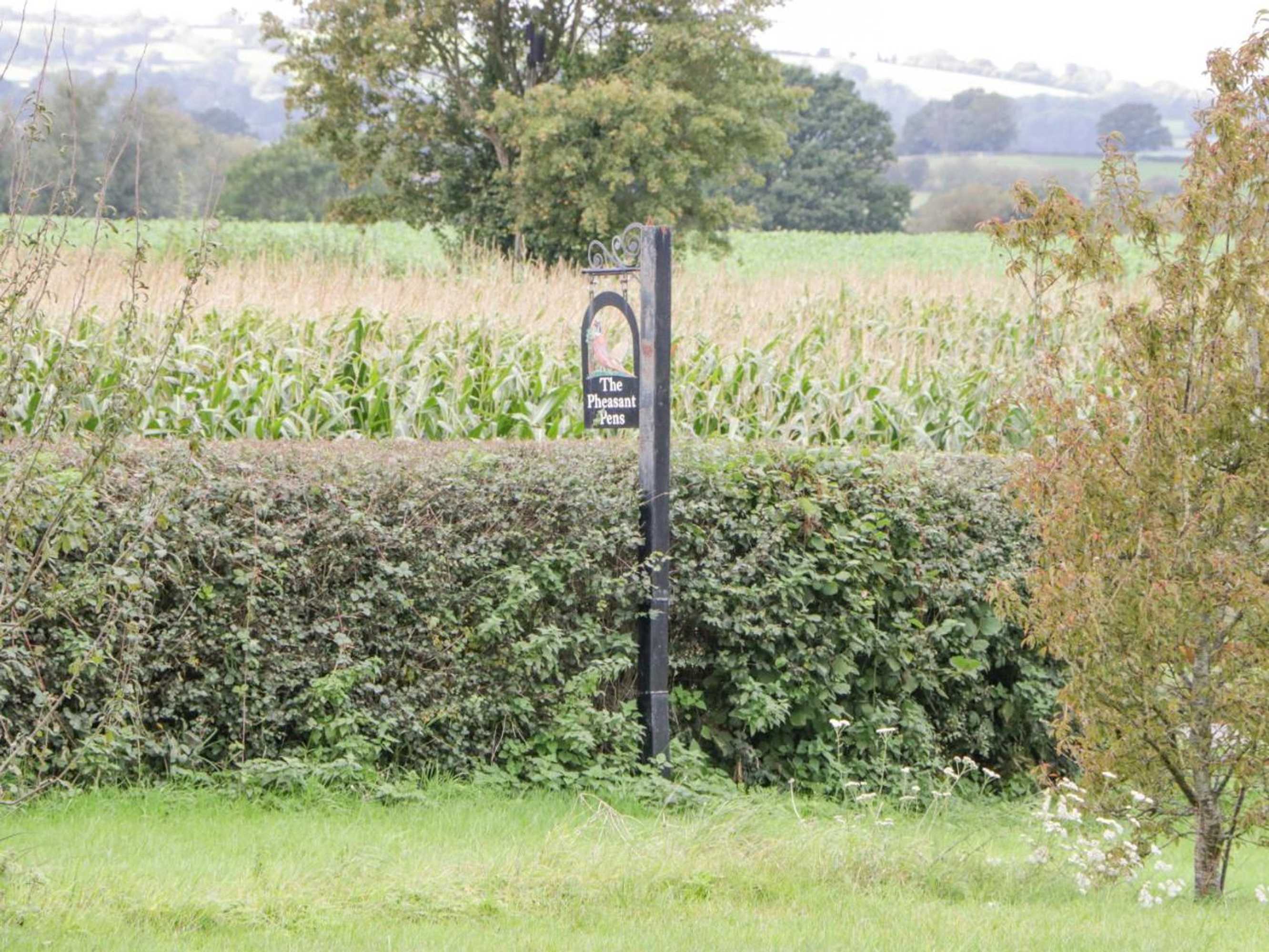 Gift card for The Pheasant One