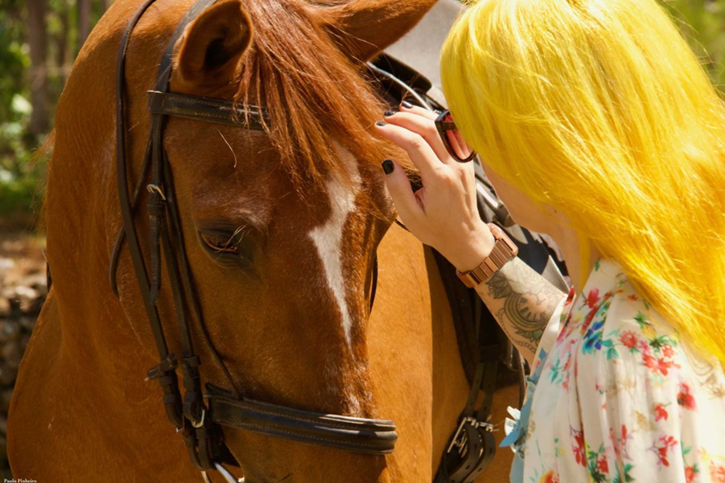 Gift card for Toca Dos Lobos - Ecological Cabin Gift card for Toca Dos Lobos - Ecological Cabin