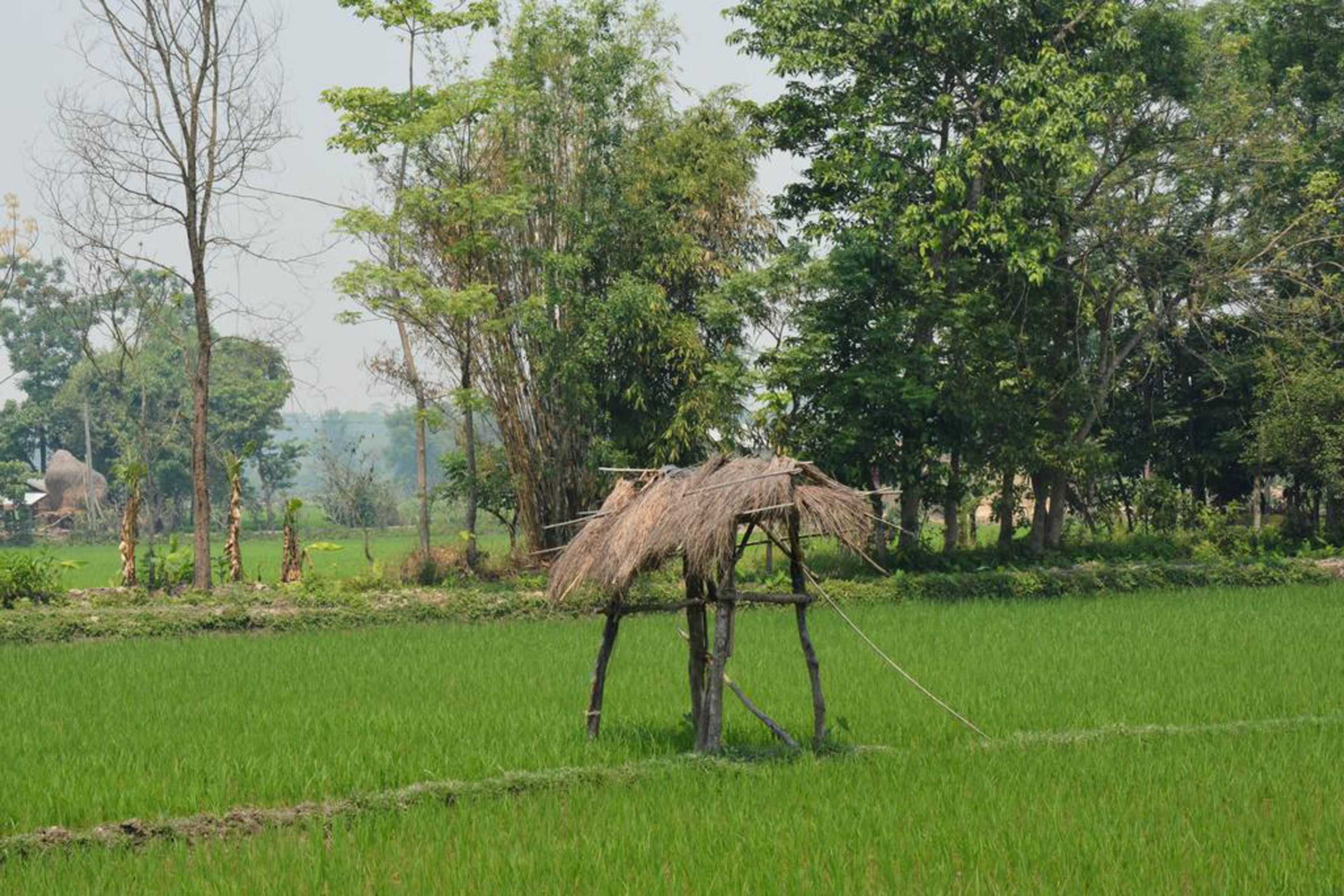 Gift card for Barauli Community Homestay