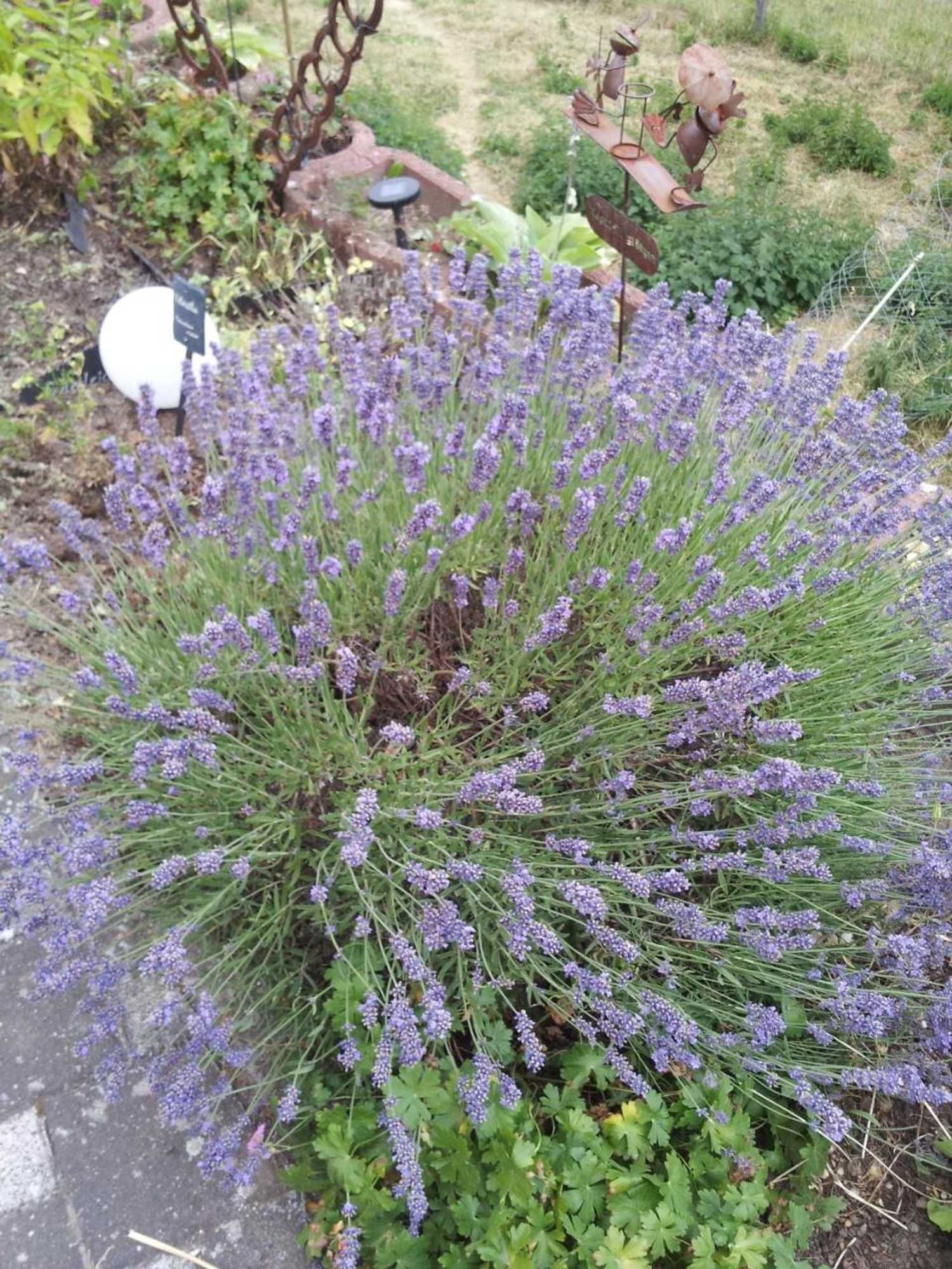 Gift card for Weber Landhaus