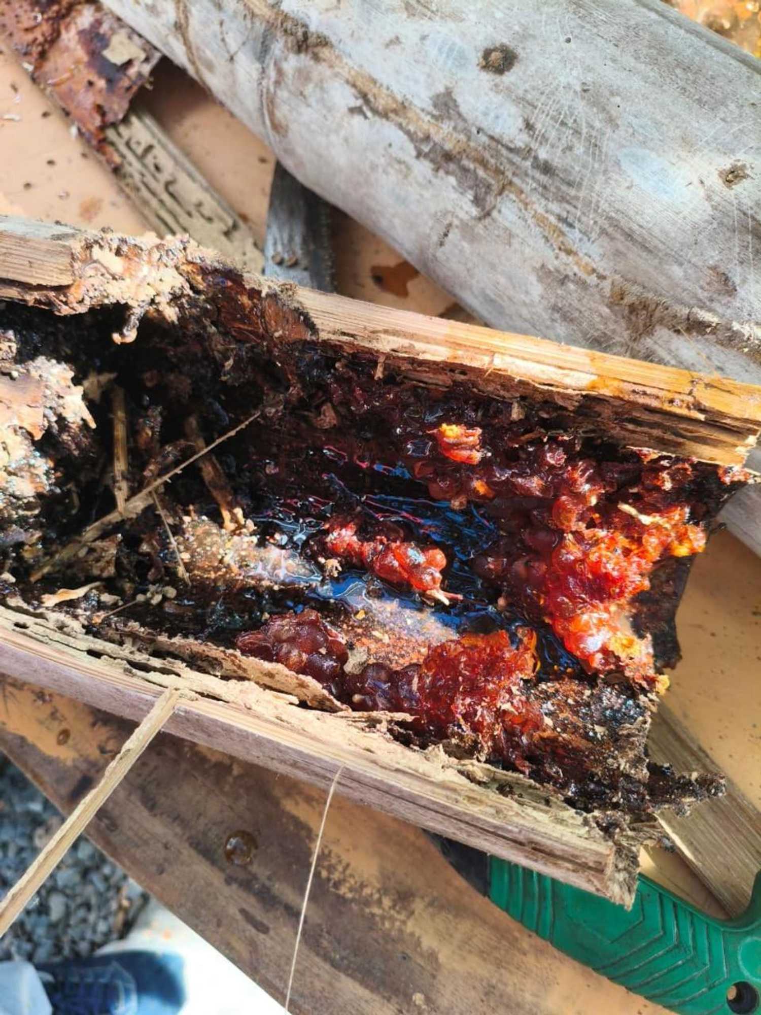 Gift card for Kondo Villa