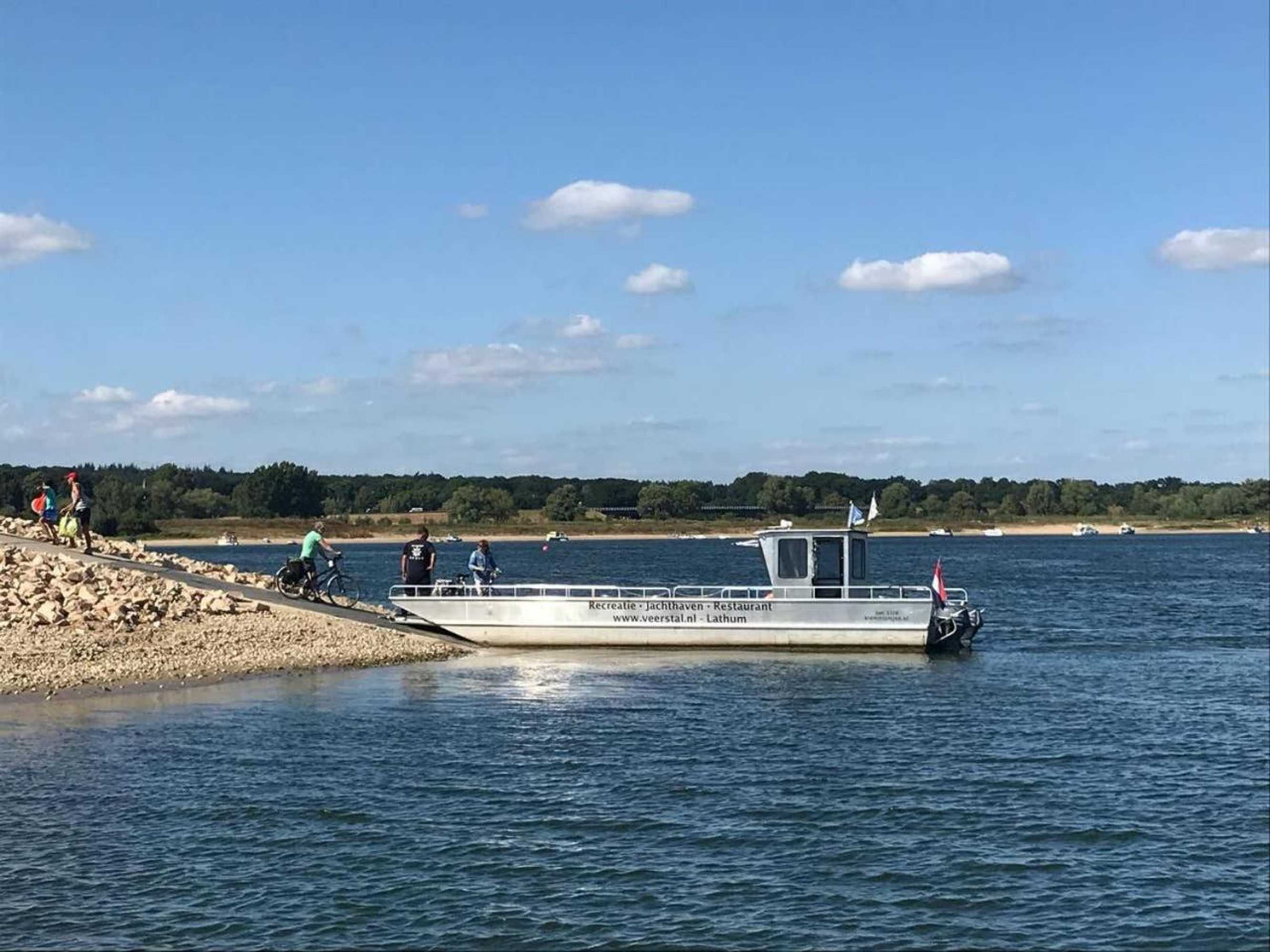 Gift card for Anvibe 1