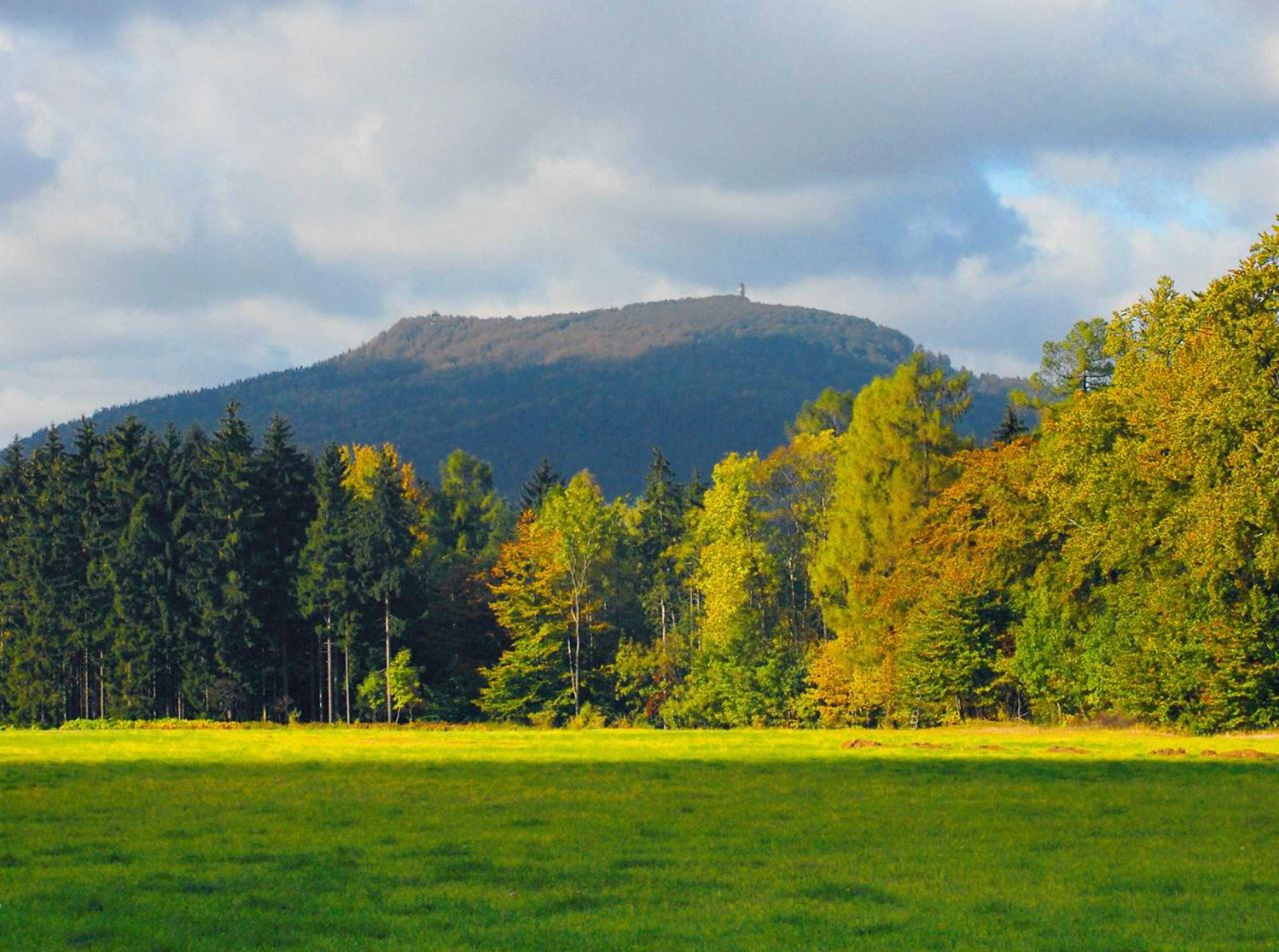 Gift card for Dammschenke Gasthof & Hotel