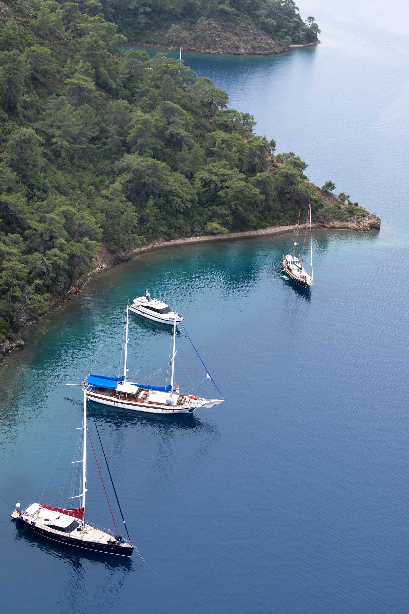 Gift card for D-Resort Gocek Gift card for D-Resort Gocek