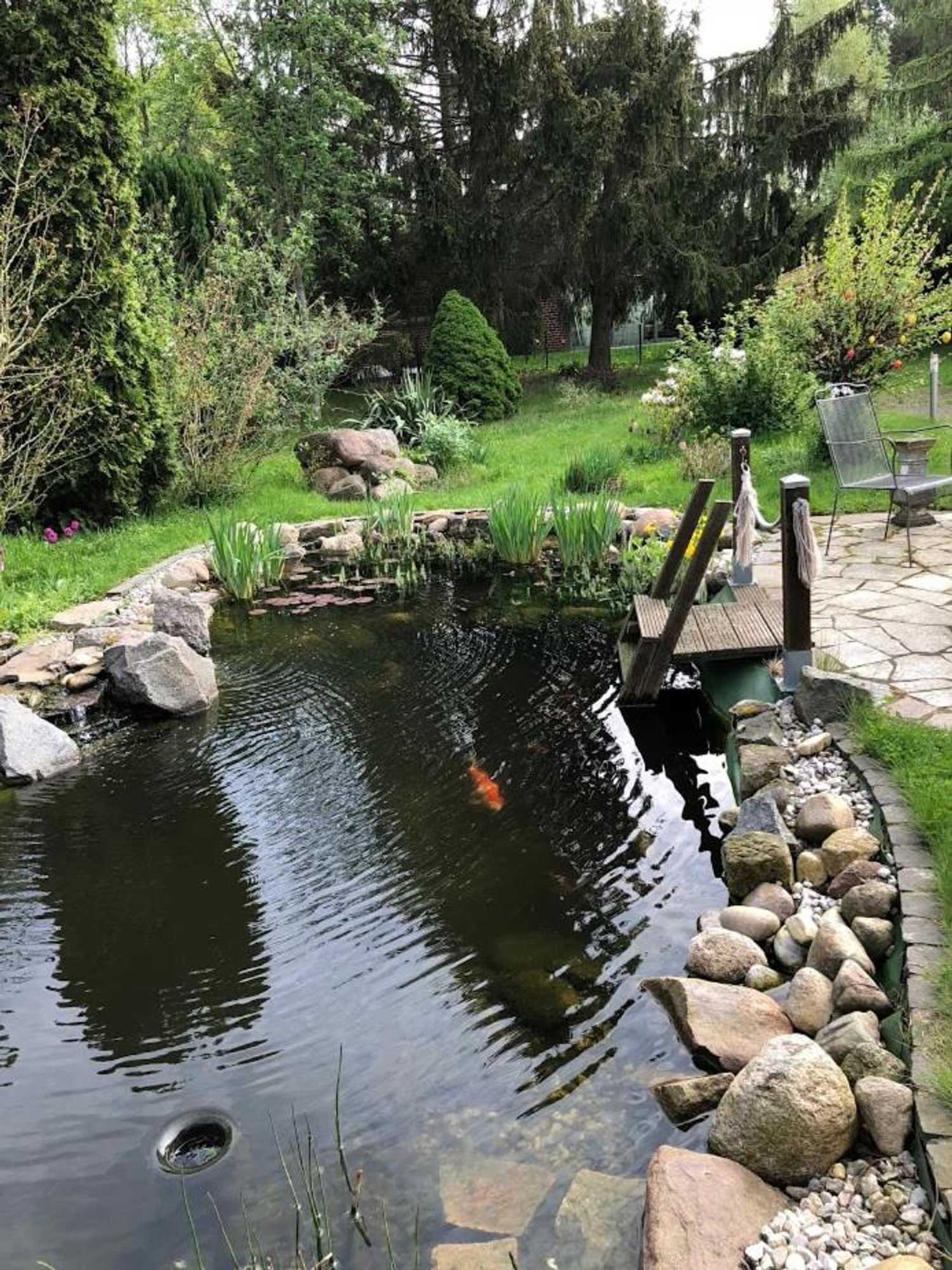 Gift card for Pension Preussenstraße Leipzig