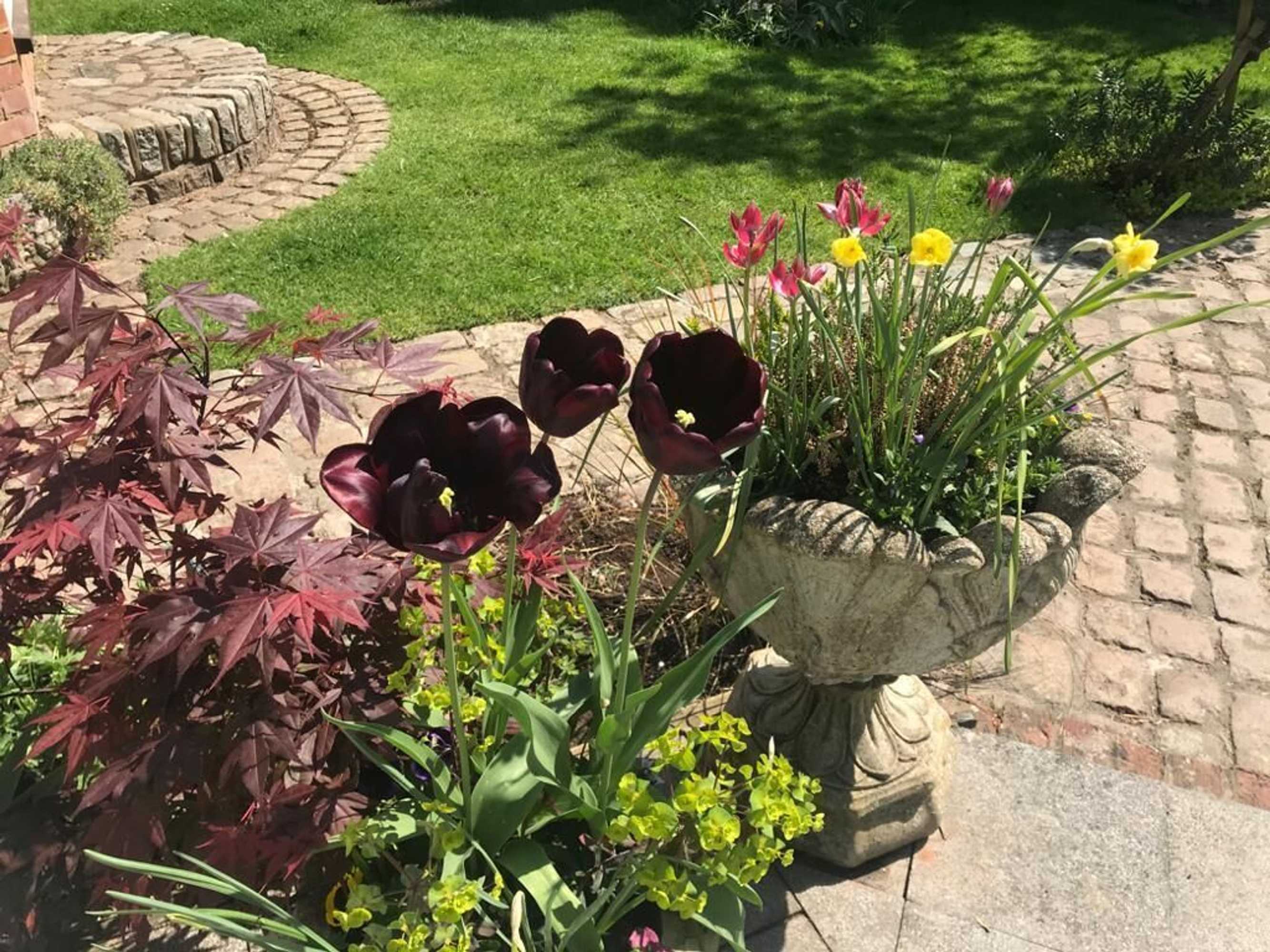 Gift card for West Lodge Hotel