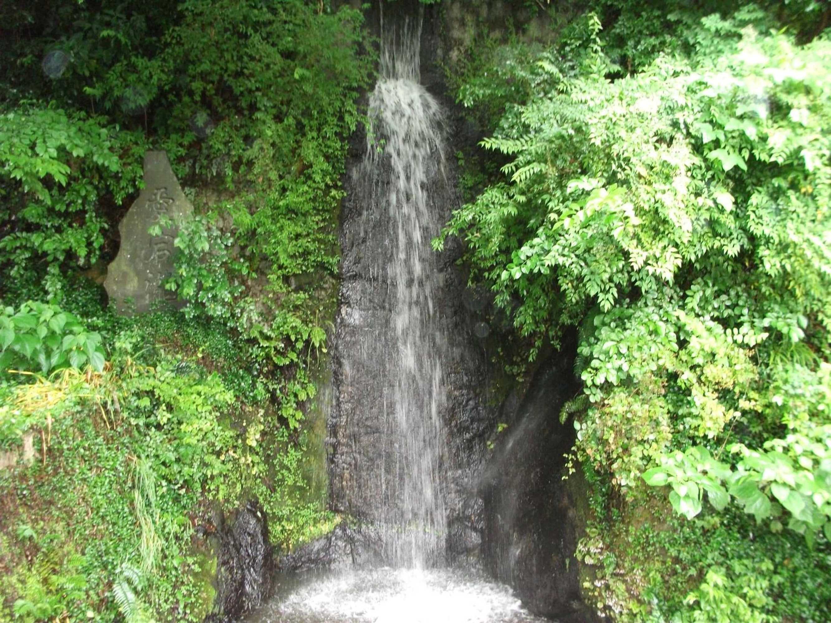 Gift card for Sanso Nagisa