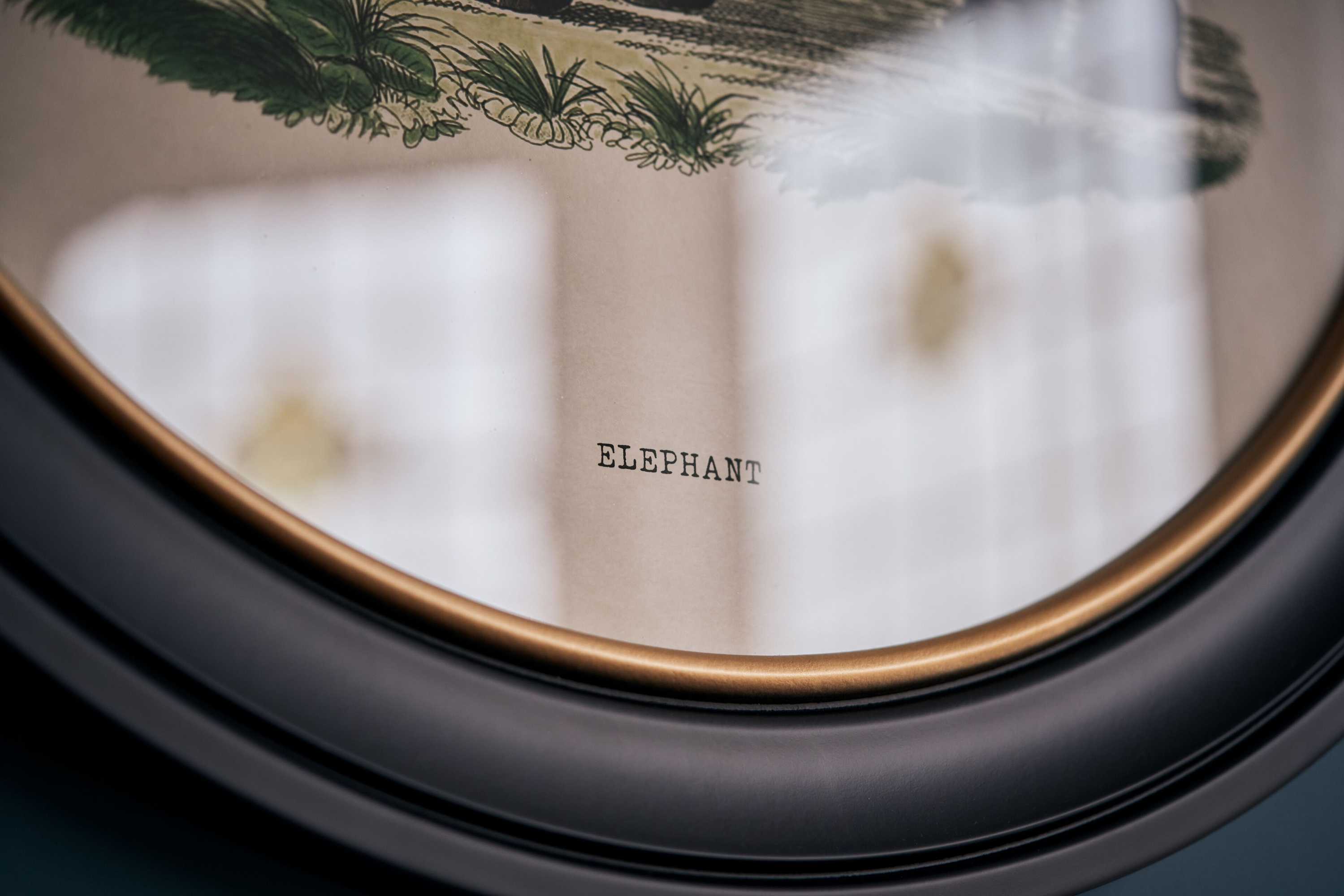 Gift card for The Strutt Arms