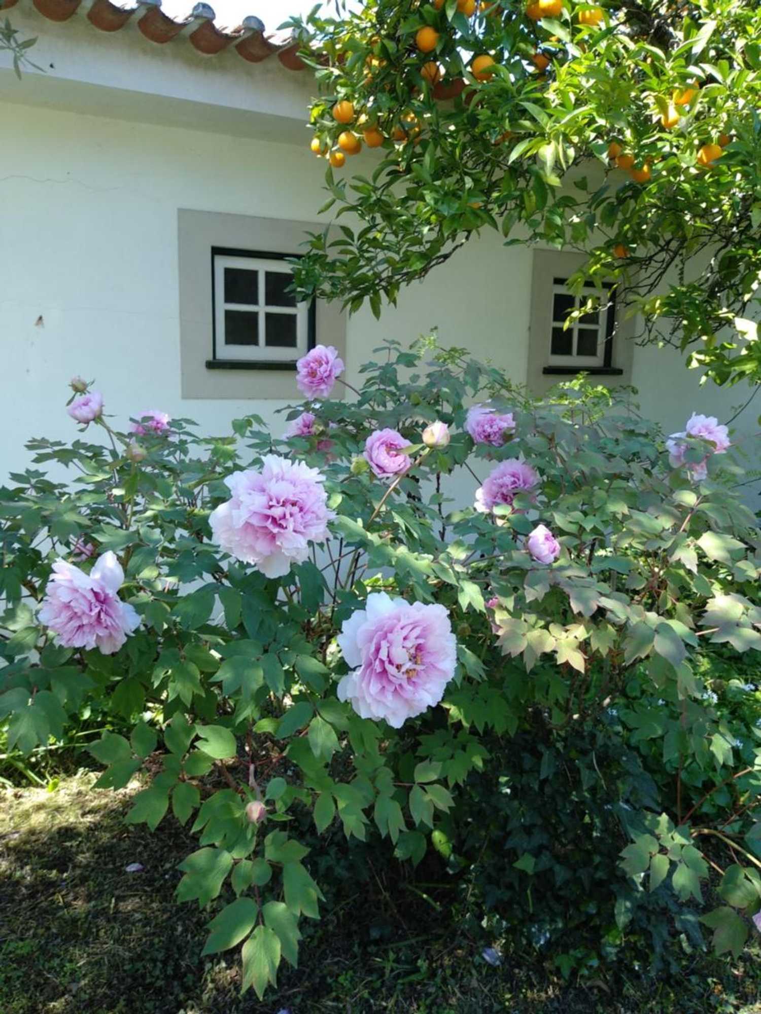 Gift card for Casas Do Zagao