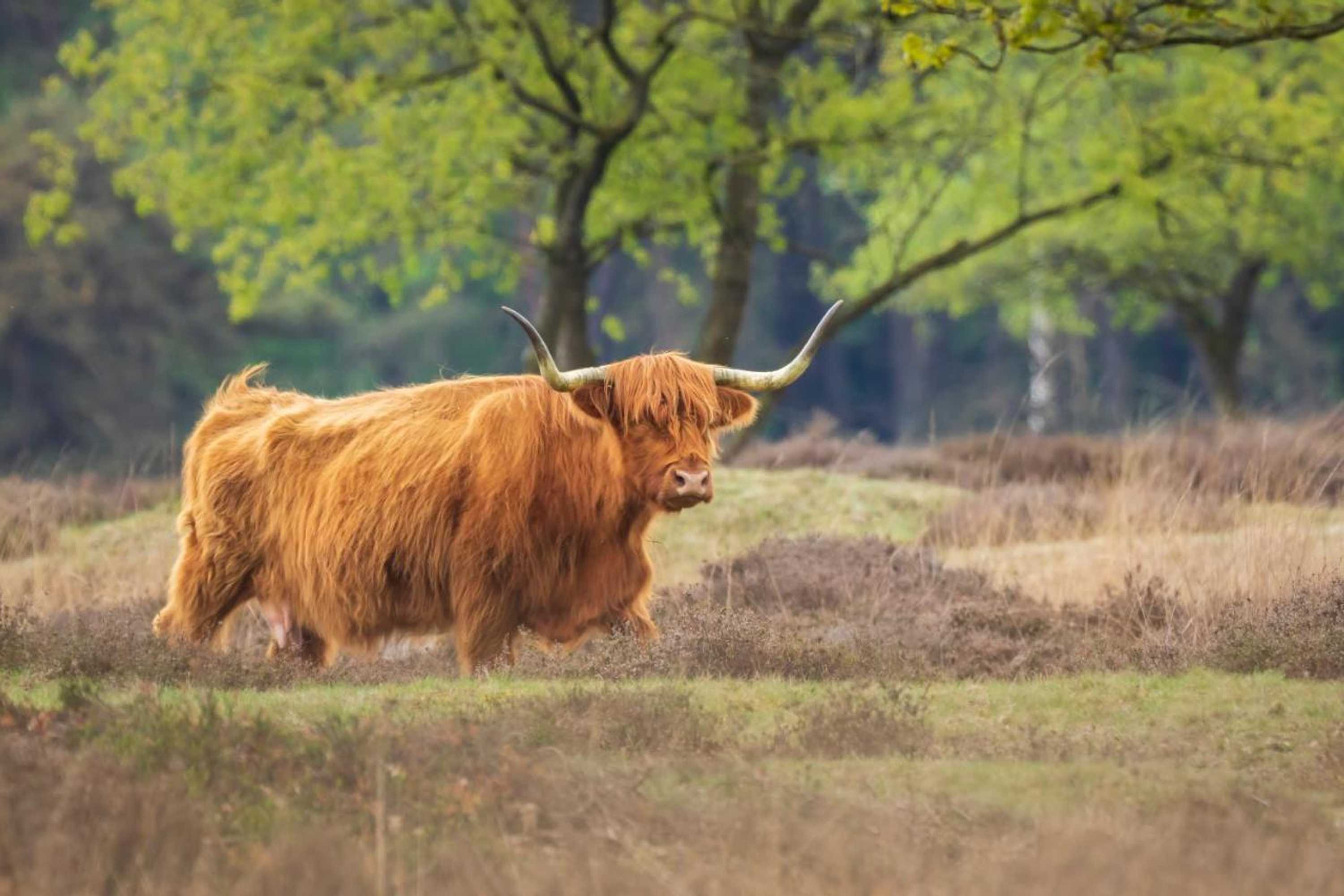 Gift card for Hotel Udens Duyn