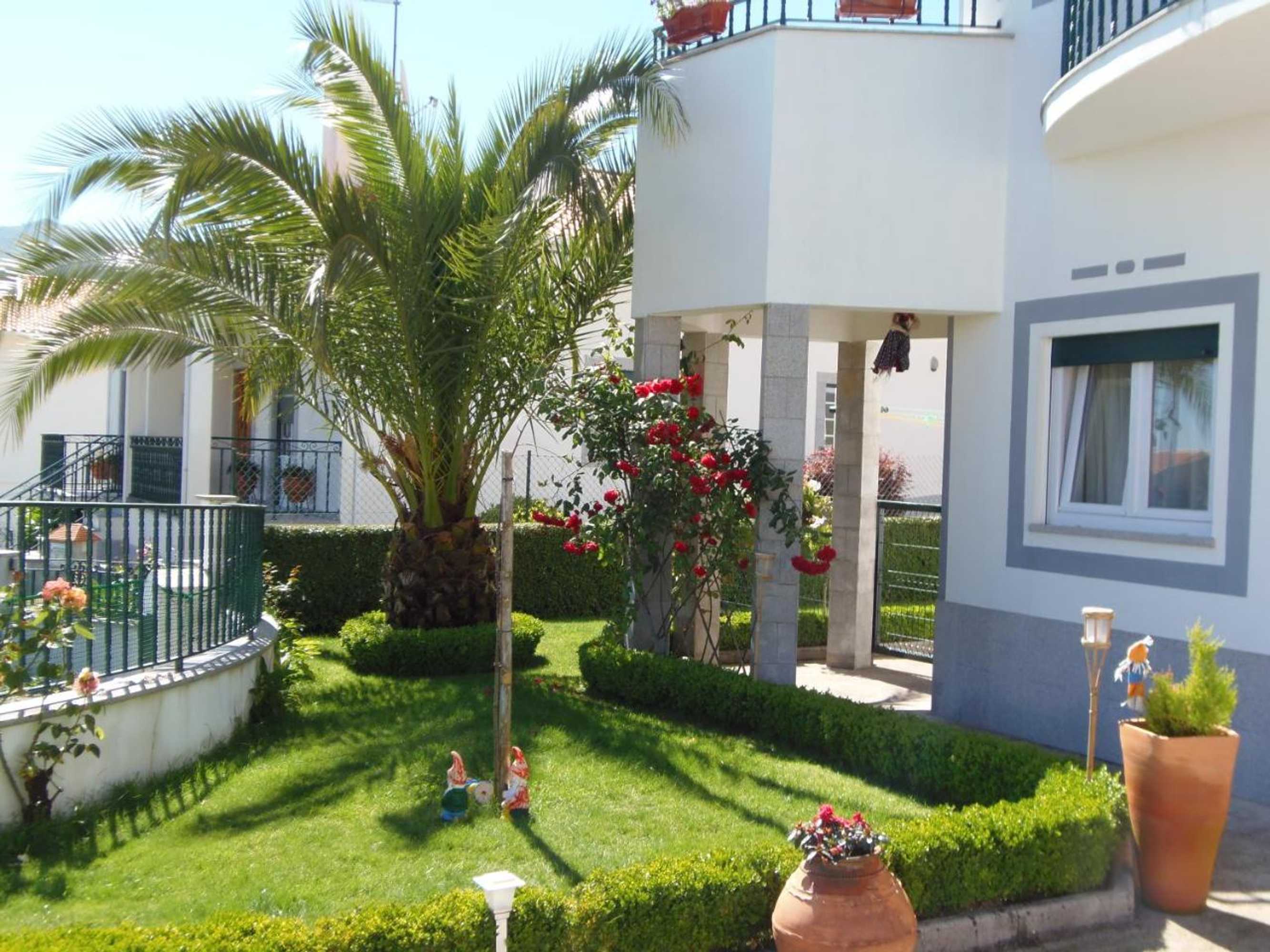 Gift card for Terra Mista Alojamento Local