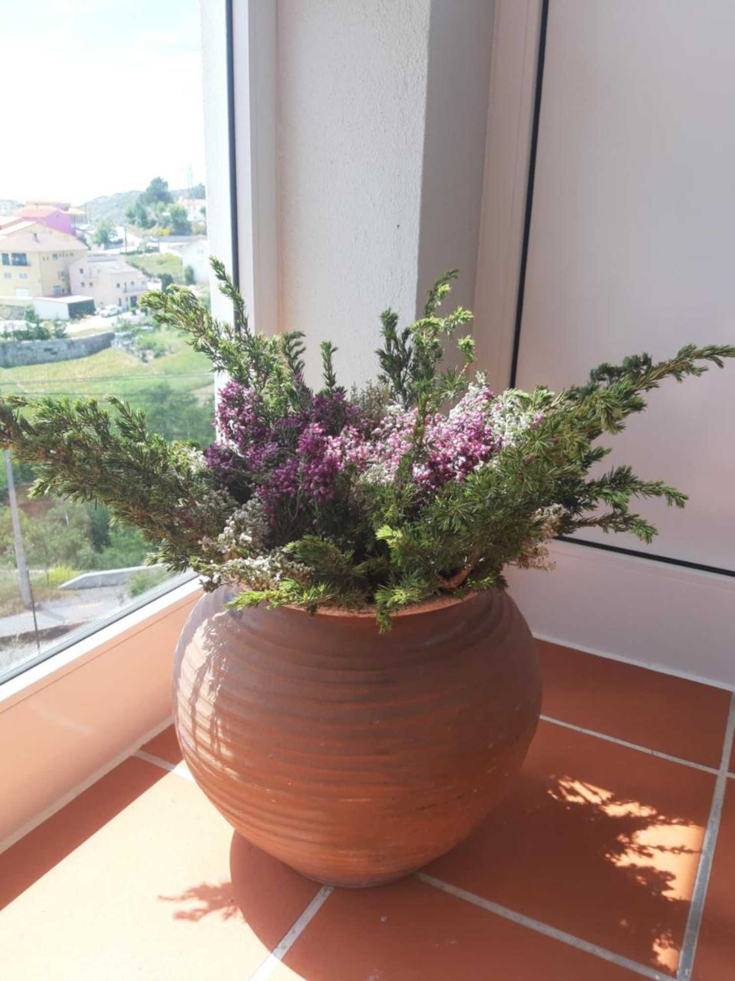 Gift card for Hostel Criativo do Sabugueiro