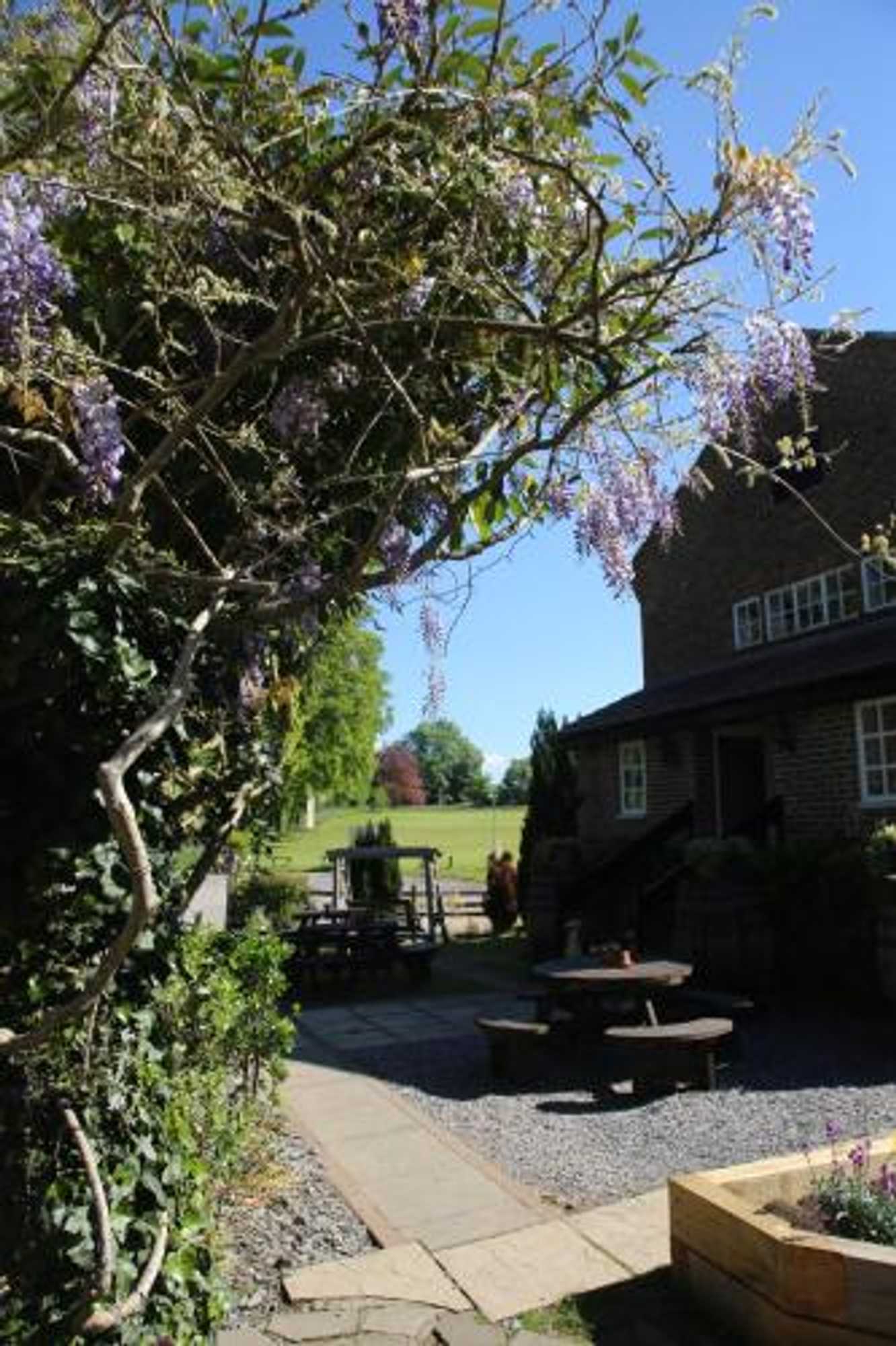 Gift card for The Red Lion & Cellar Room, Betchworth Gift card for The Red Lion & Cellar Room, Betchworth