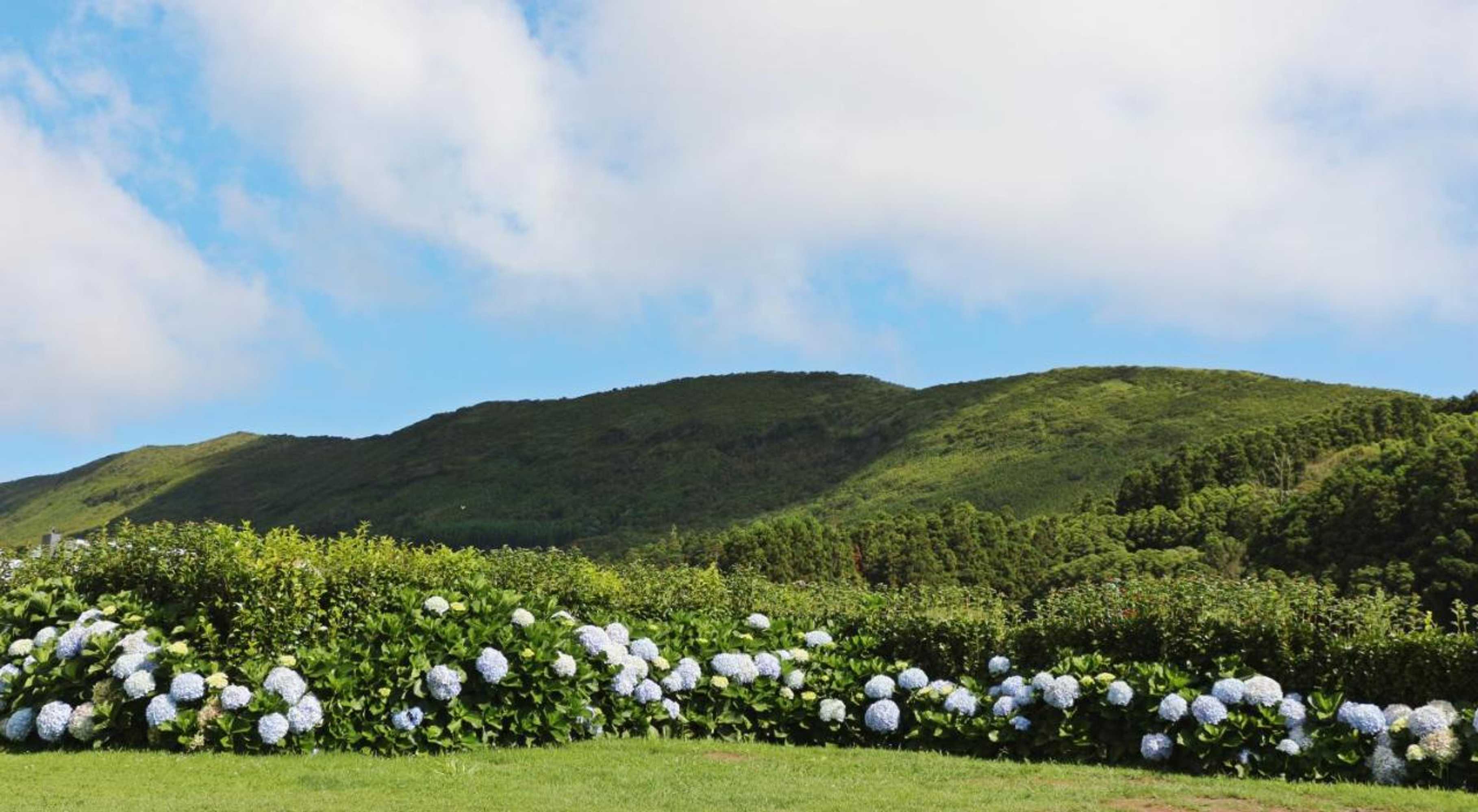 Gift card for Casas da Boa Vista