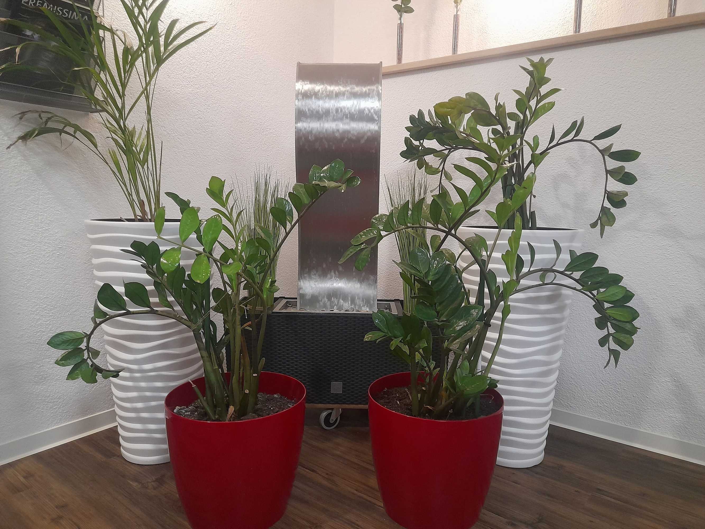 Gift card for Hotel Drei Schwanen