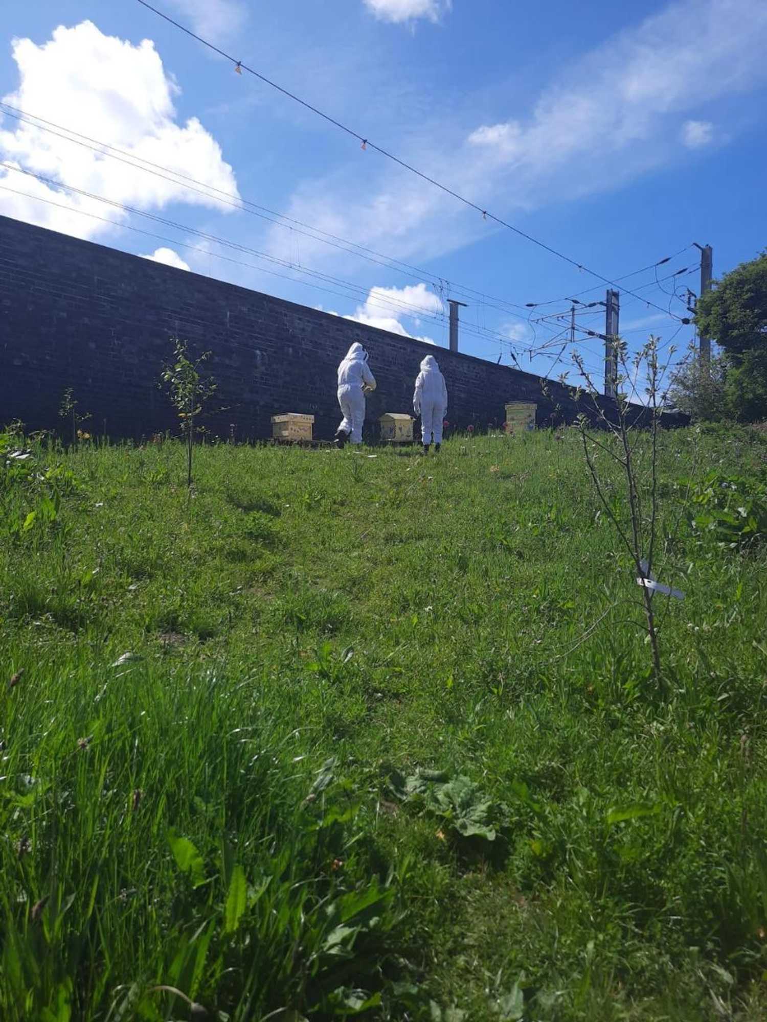 Gift card for Swan & Railway Hotel Wigan