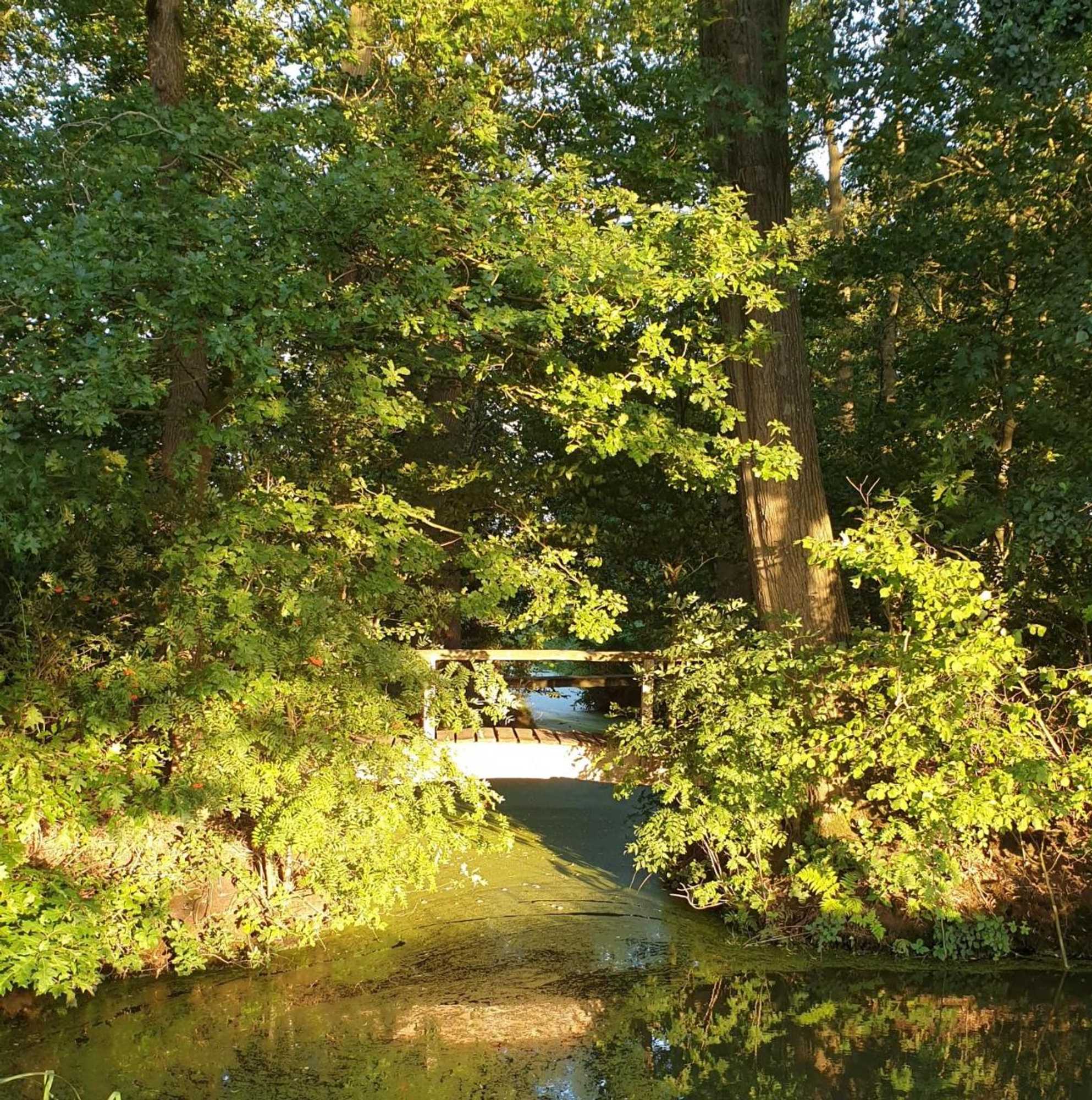 Gift card for B&b de Scherpenhof