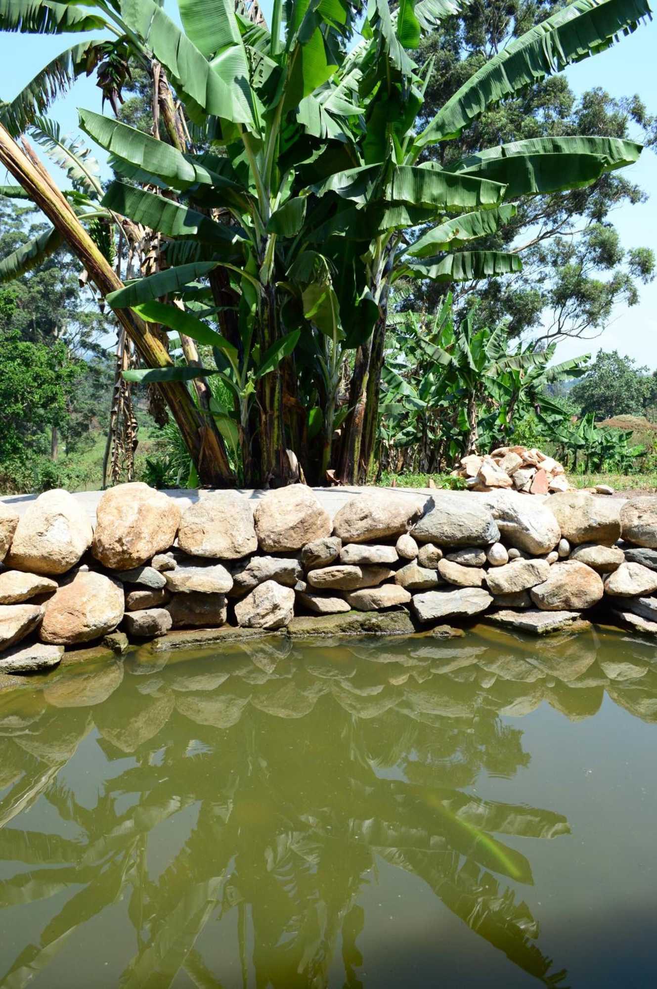 Gift card for Koi Koi Cultural Village Hotel Gift card for Koi Koi Cultural Village Hotel