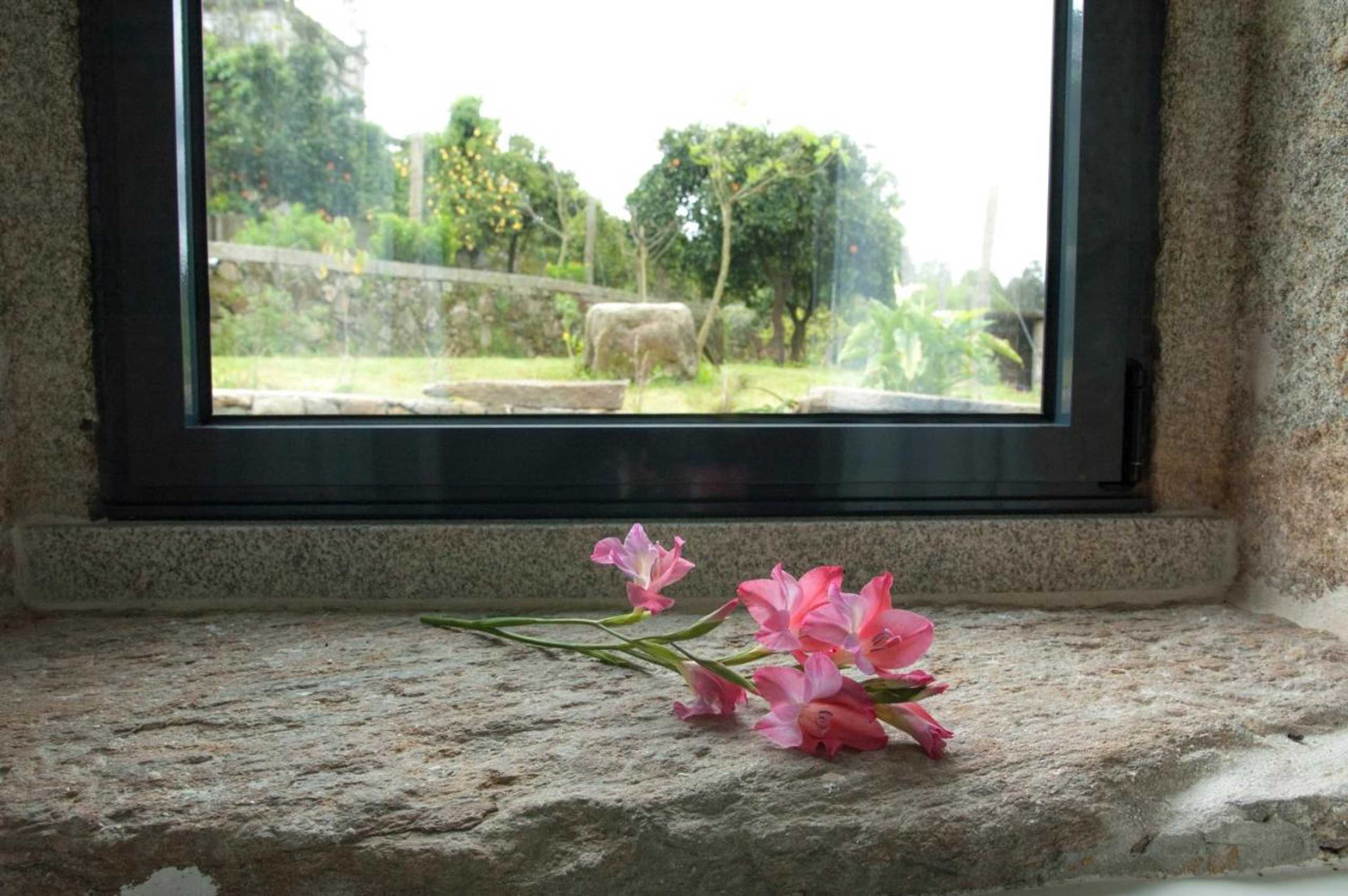 Gift card for Eira Dos Canastros