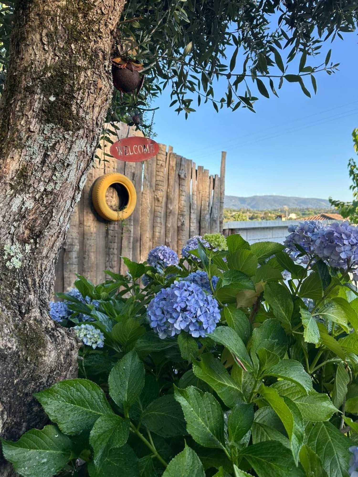 Gift card for Magnolias Cottage