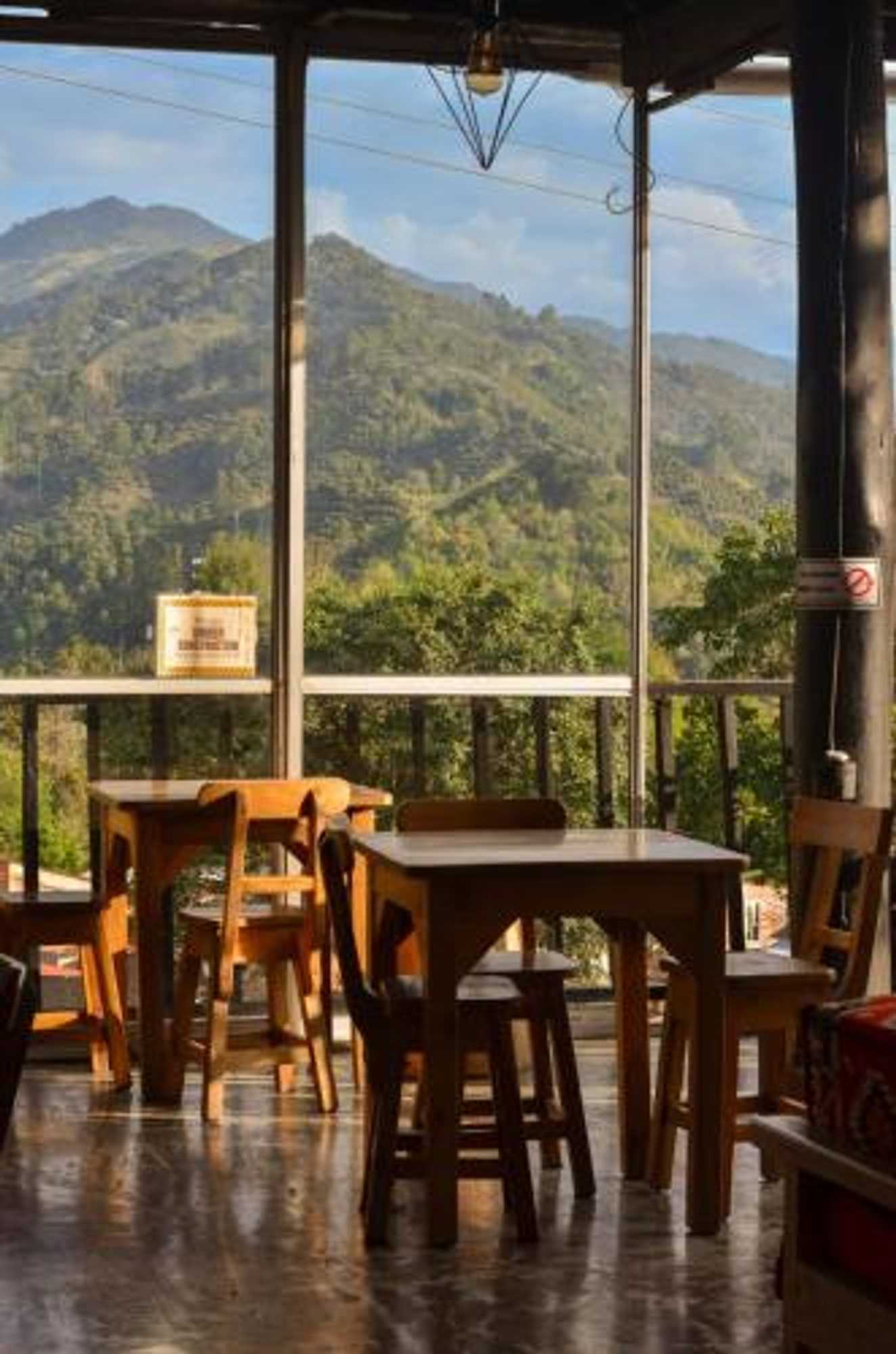 Gift card for Coffee Tree Boutique Hostel Gift card for Coffee Tree Boutique Hostel