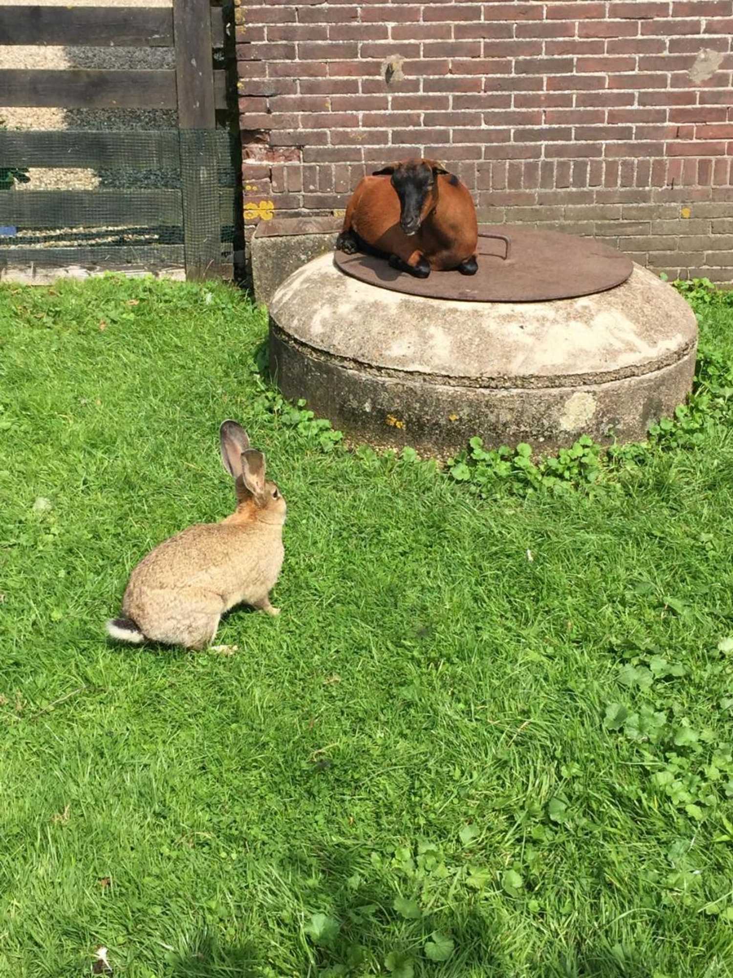 Gift card for Droomgaerd