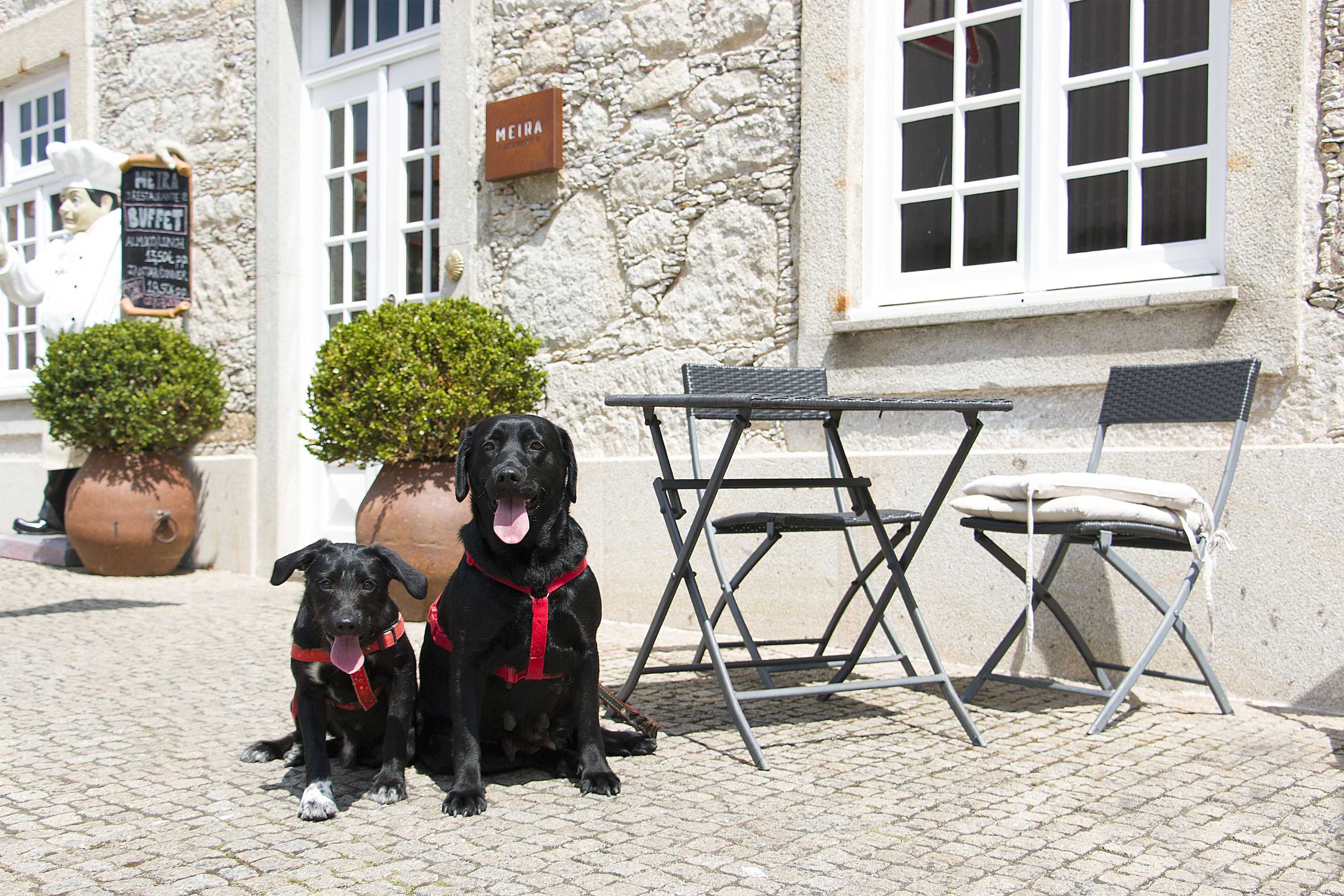 Gift card for Hotel Meira Gift card for Hotel Meira