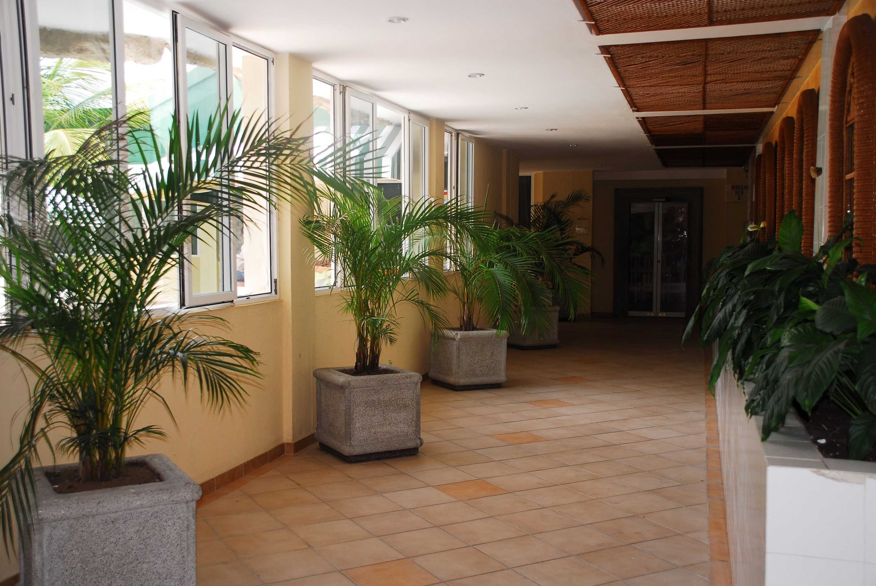 Gift card for Peten Esplendido Hotel And Conference Center Gift card for Peten Esplendido Hotel And Conference Center