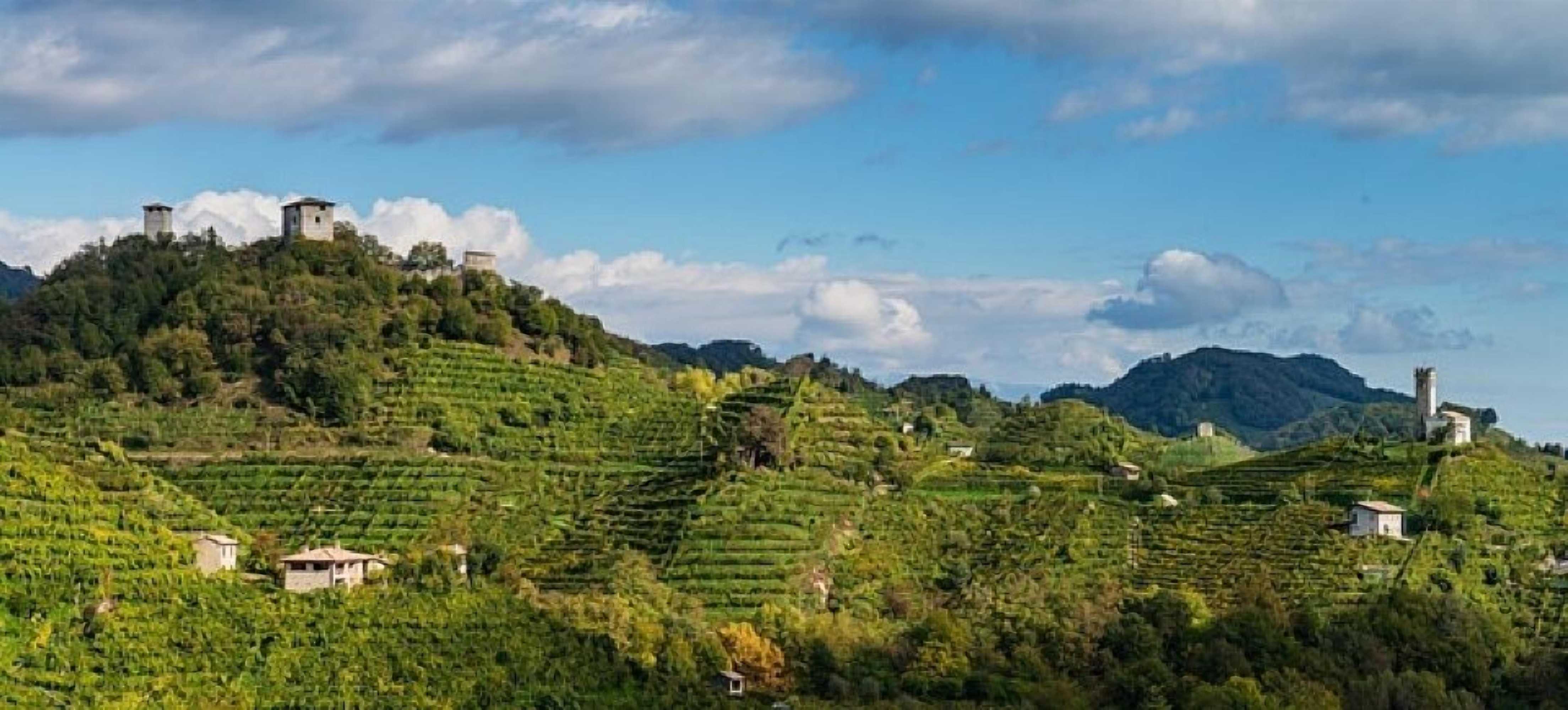Gift card for Relais Villa Selvatico Gift card for Relais Villa Selvatico