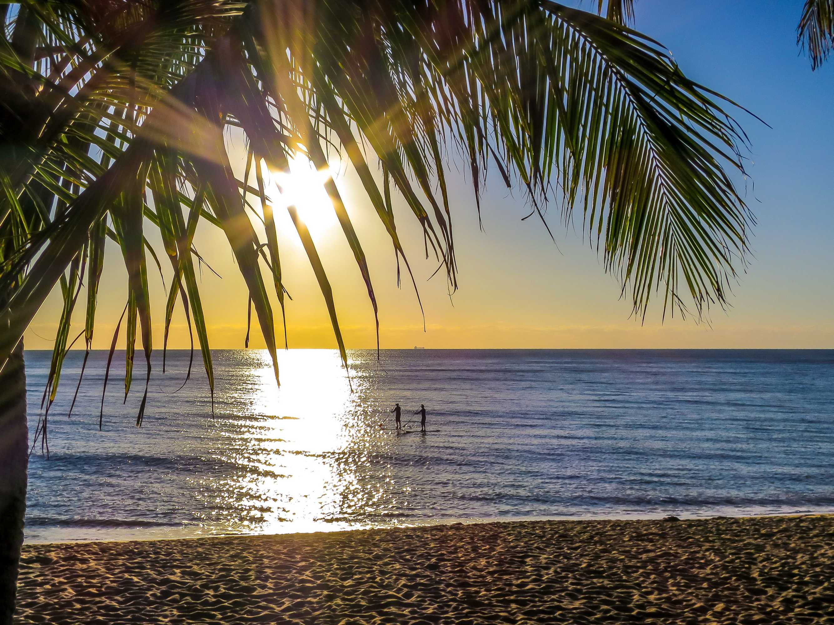 Gift card for Roydon Beachfront Apartments Gift card for Roydon Beachfront Apartments