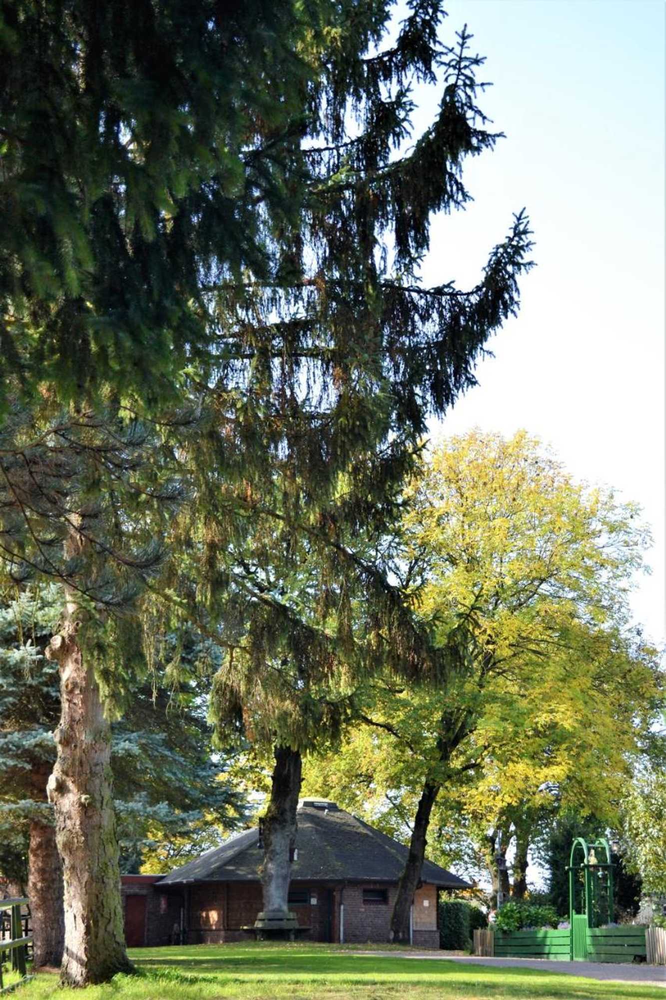 Gift card for Camping Hitjesvijver