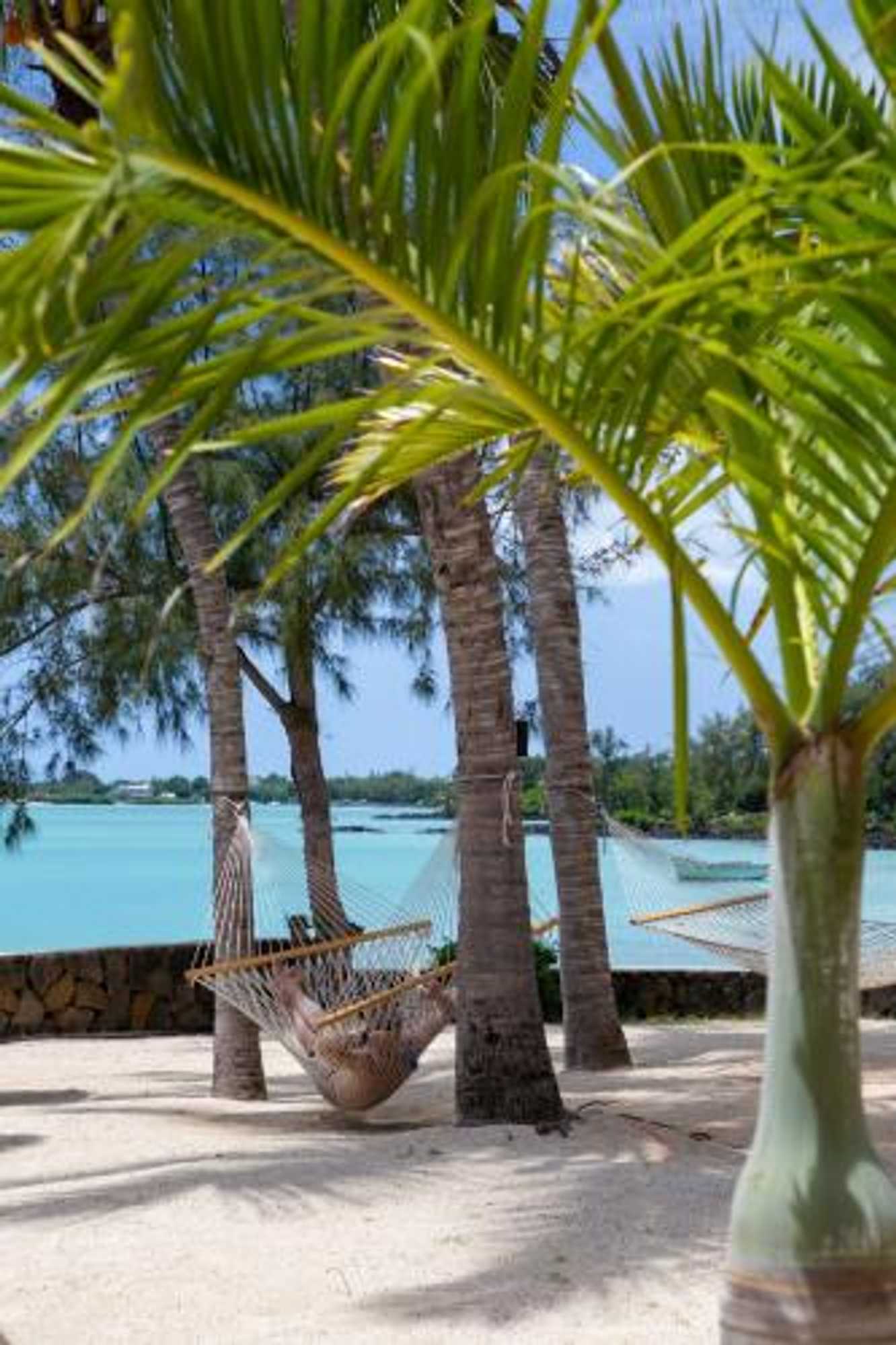 Gift card for Lagoon Attitude - Adults Only Gift card for Lagoon Attitude - Adults Only