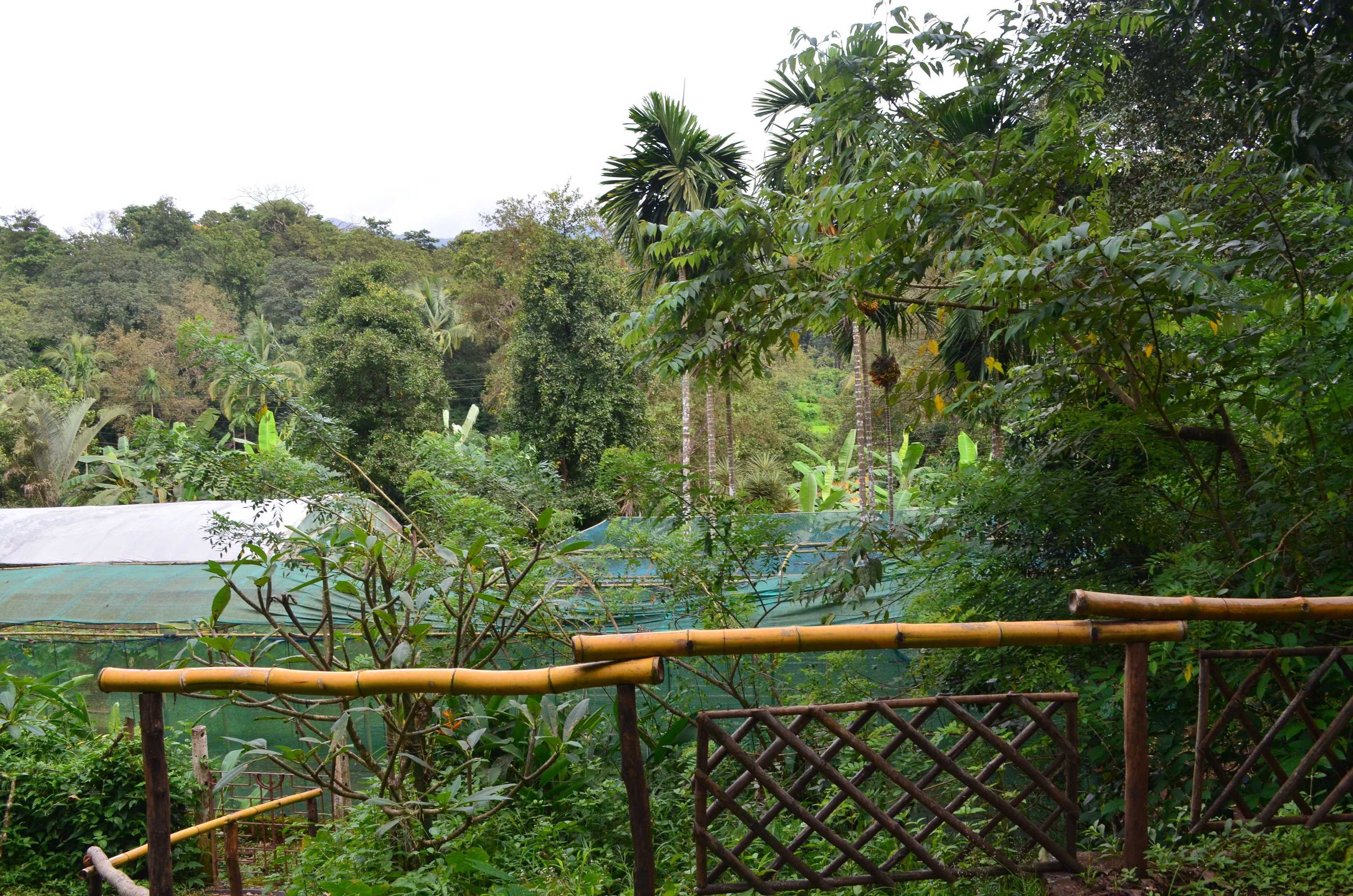 Gift card for Mangaal Farmstay Goa Gift card for Mangaal Farmstay Goa
