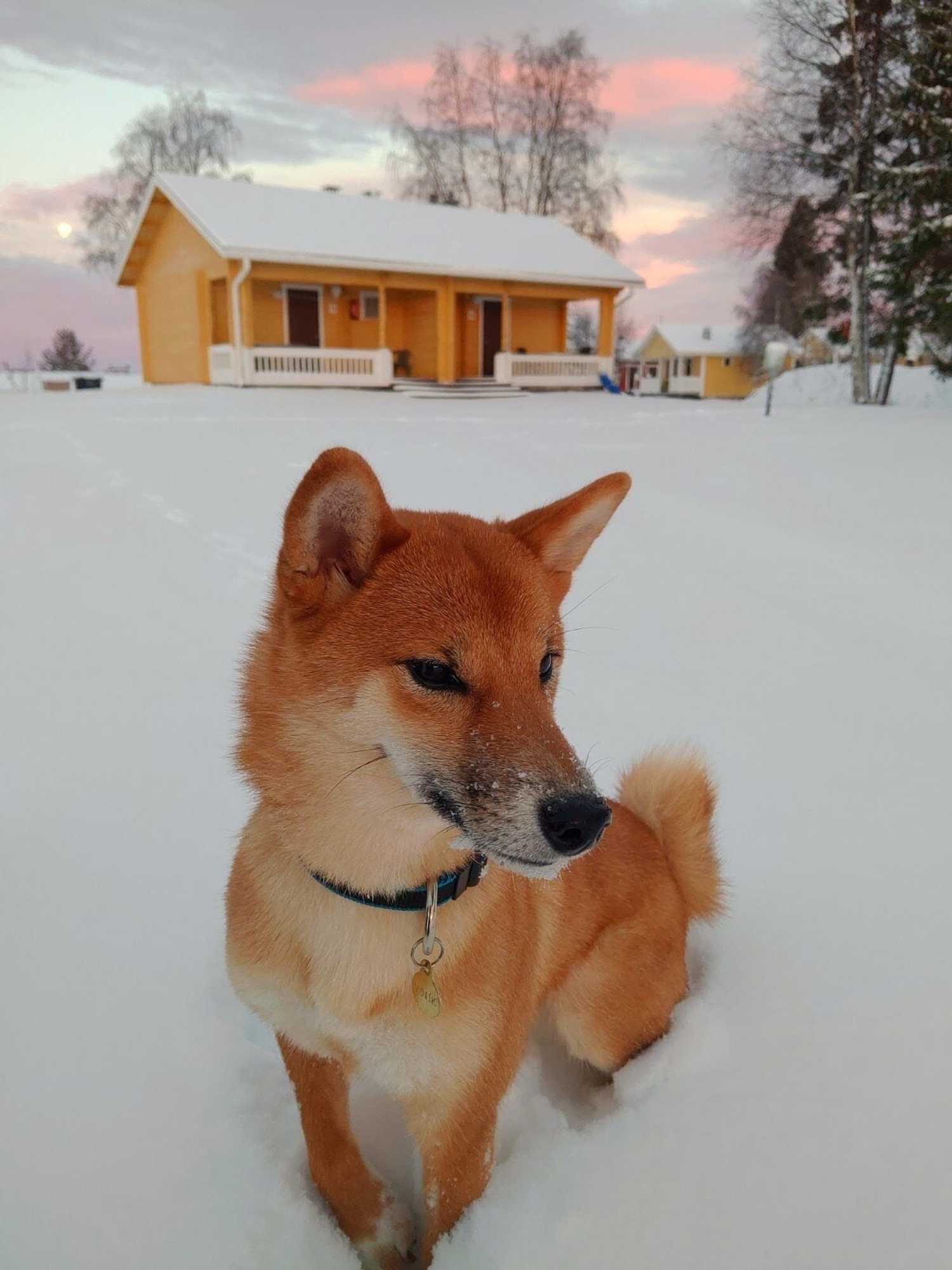 Gift card for Atlantis Village