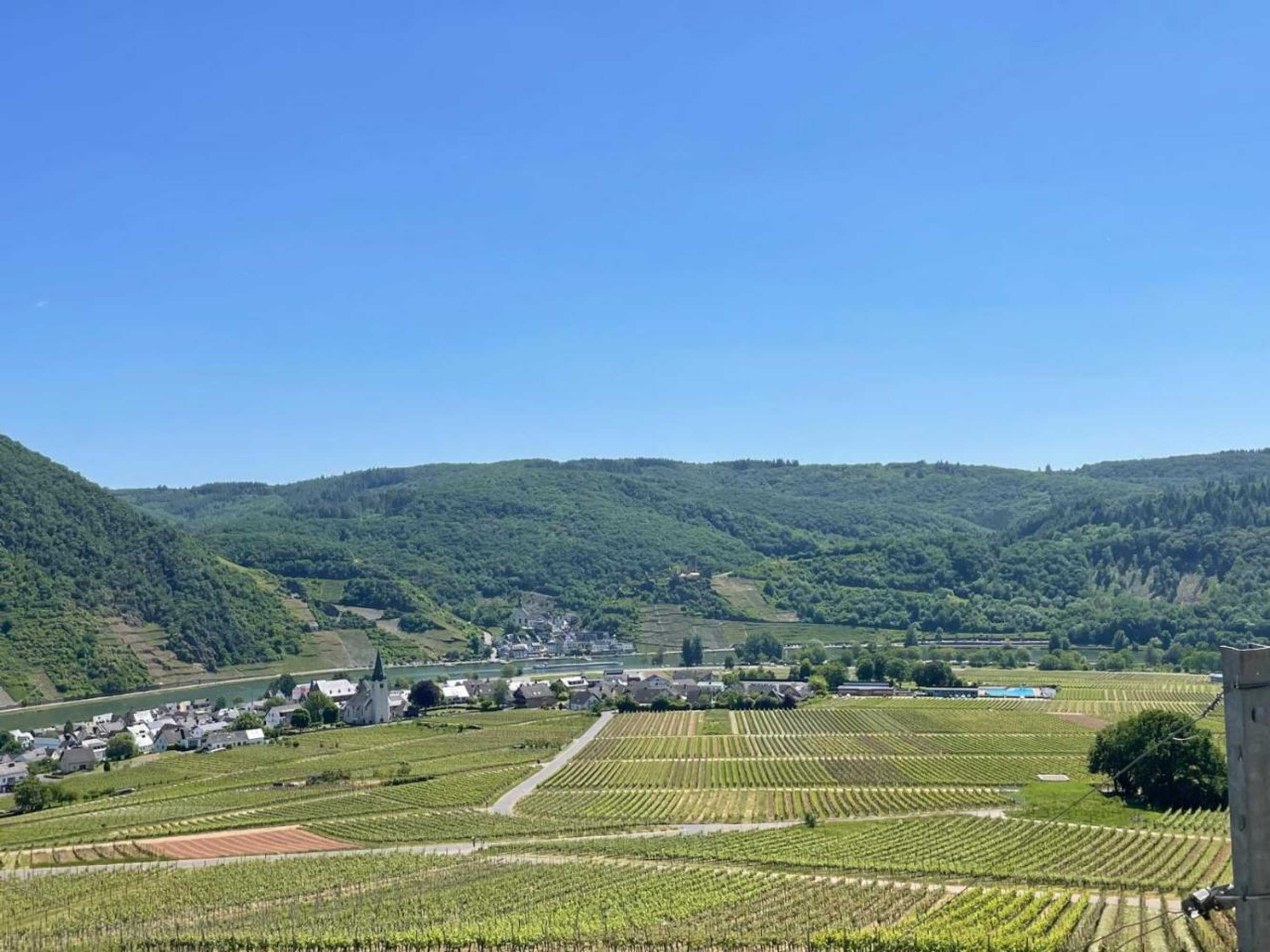 Gift card for Alte Weinstuben Steinfelder Hof Garni