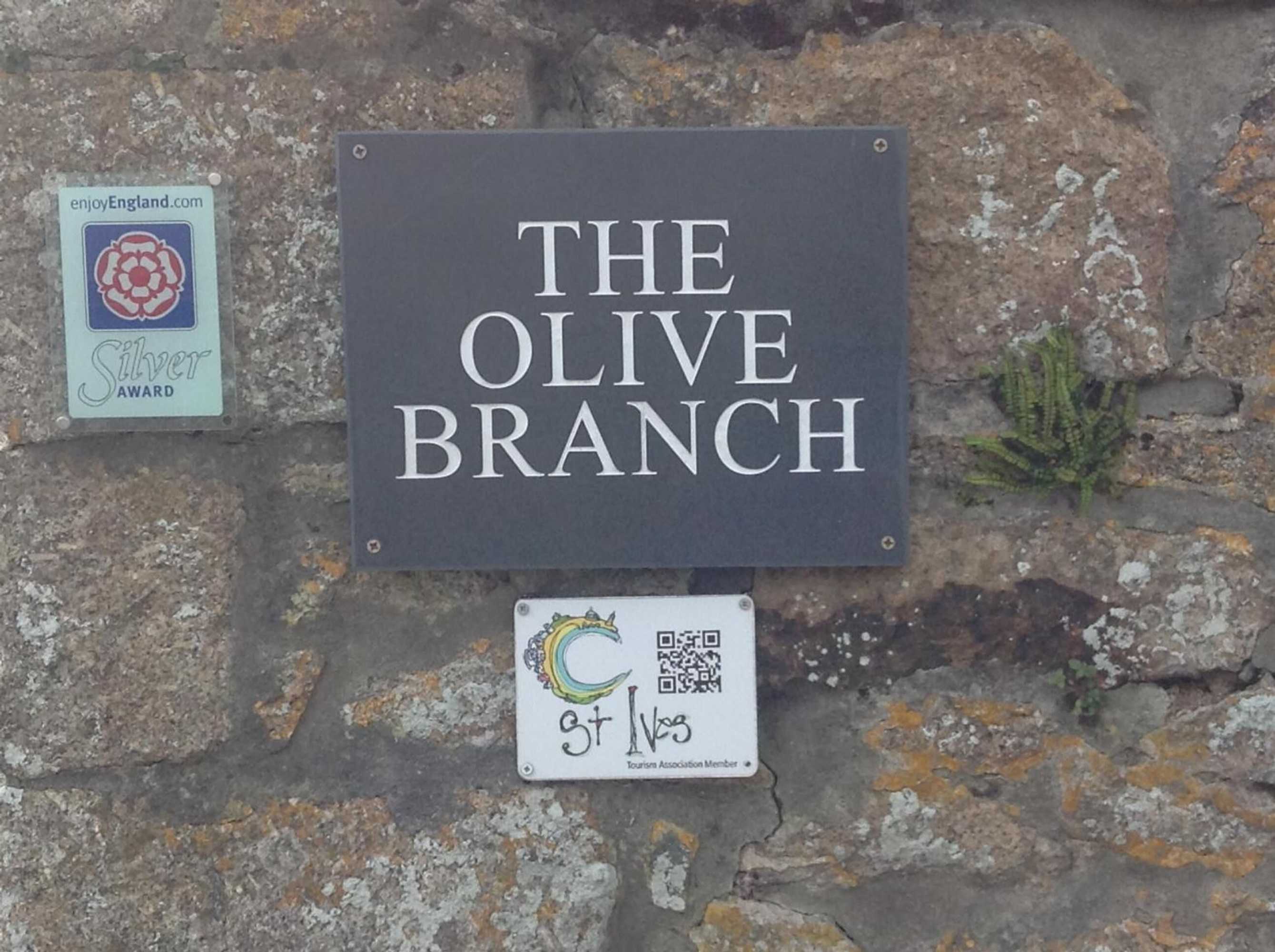 Gift card for The Olive Branch Gift card for The Olive Branch