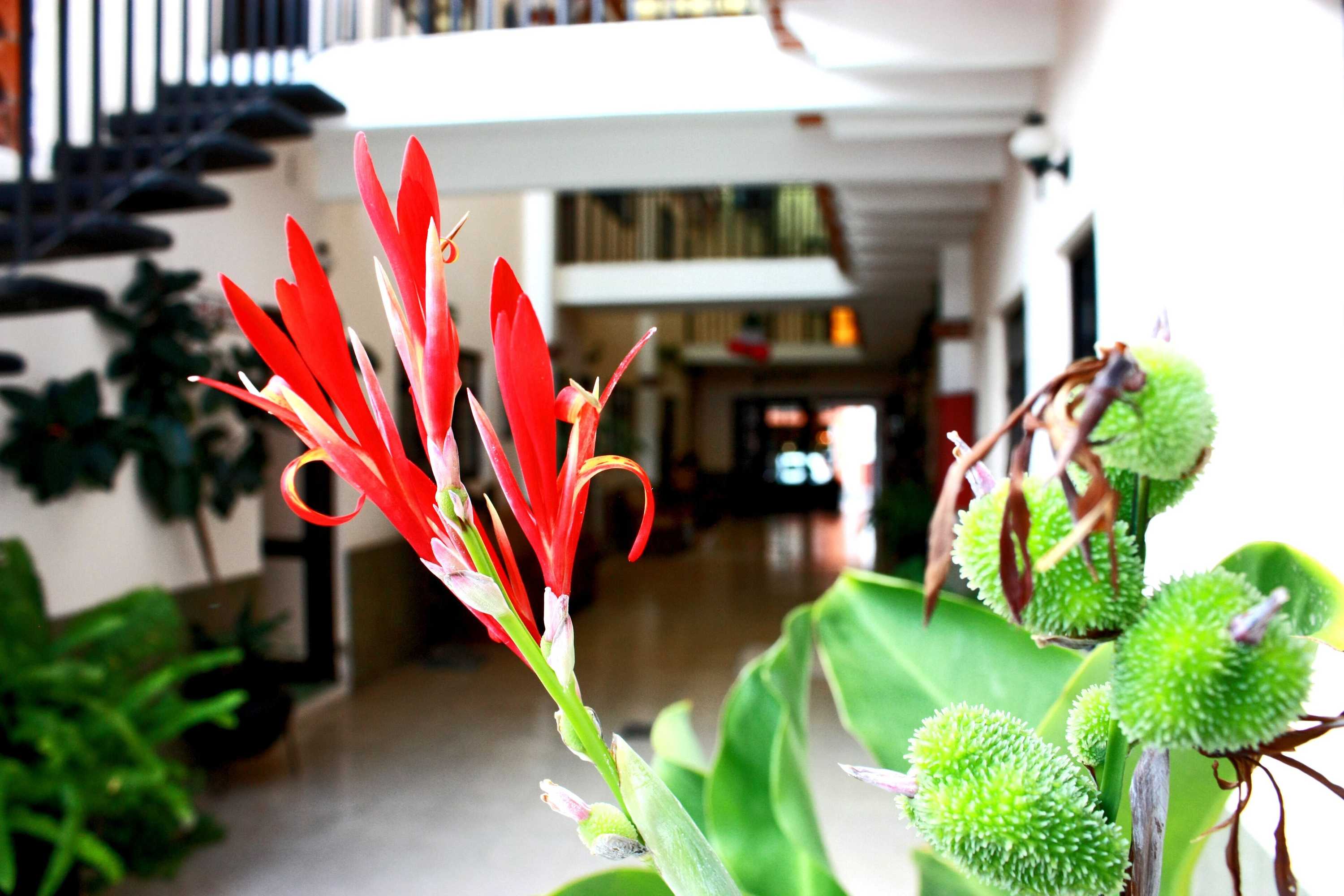 Gift card for Hotel Casa Blanca Tequisquiapan Gift card for Hotel Casa Blanca Tequisquiapan