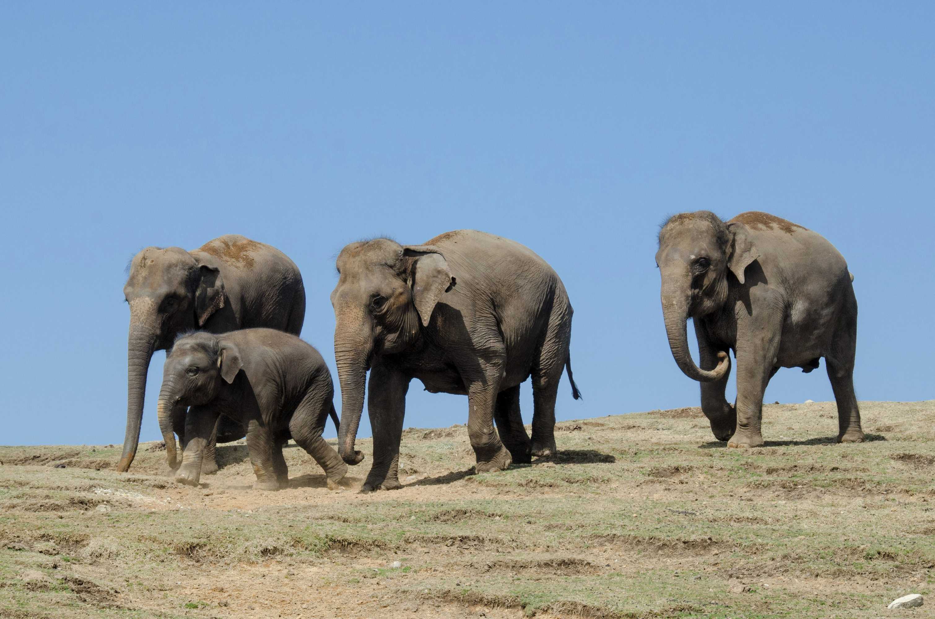 Gift card for Beppu Fuga Gift card for Beppu Fuga