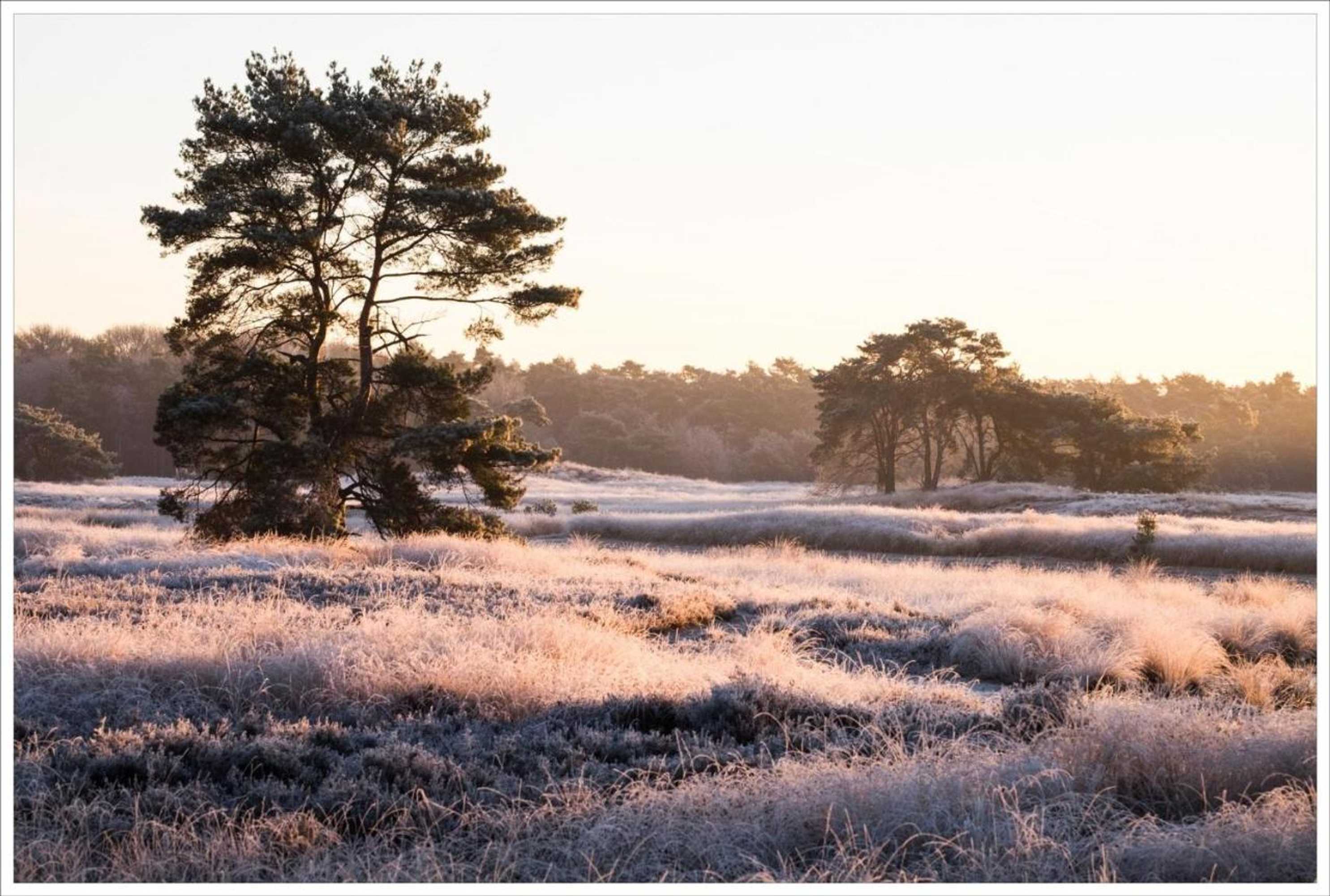 Gift card for Boutique Hotel Bed&bos