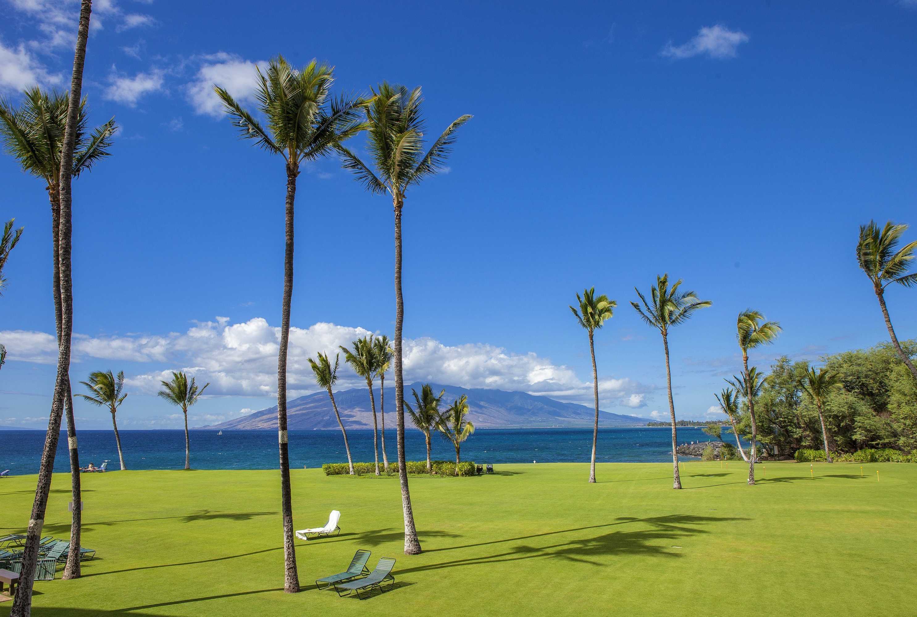 Gift card for Kihei Surfside - Maui Condo & Home Gift card for Kihei Surfside - Maui Condo & Home