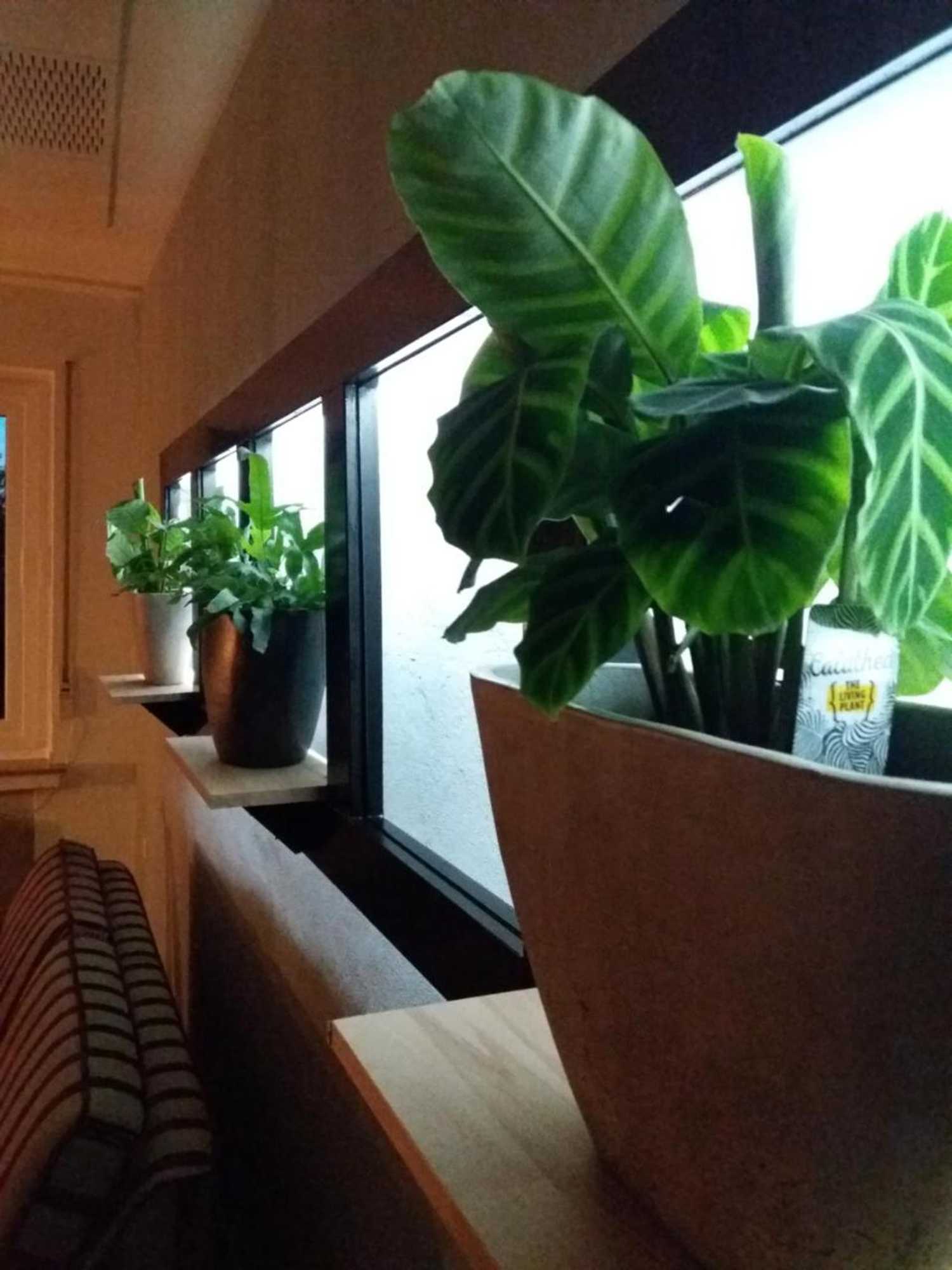 Gift card for Haus S.e.e.