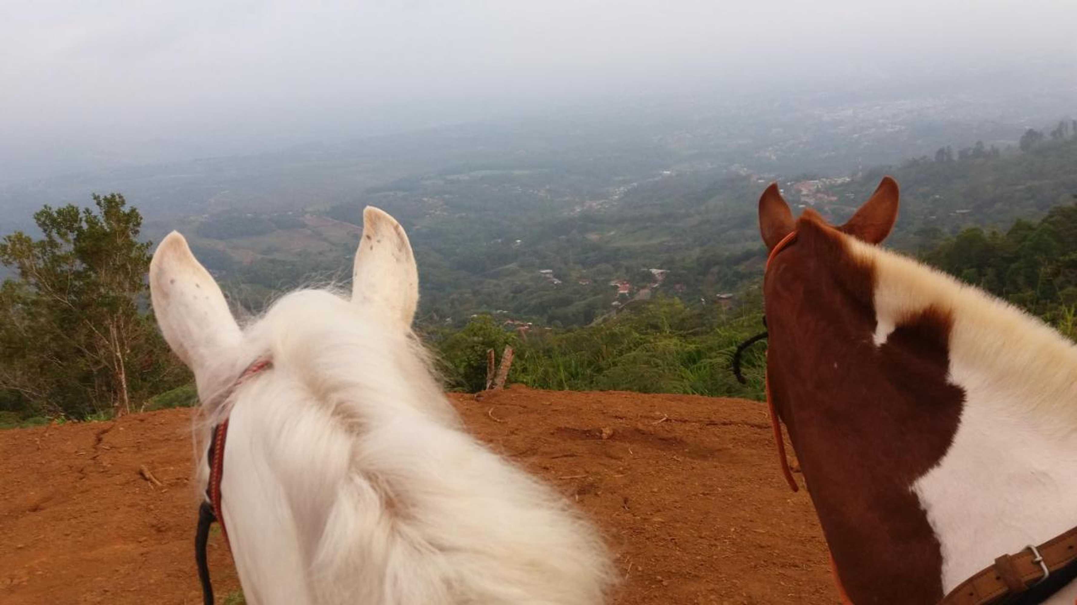 Gift card for La Princesa Hotel Gift card for La Princesa Hotel