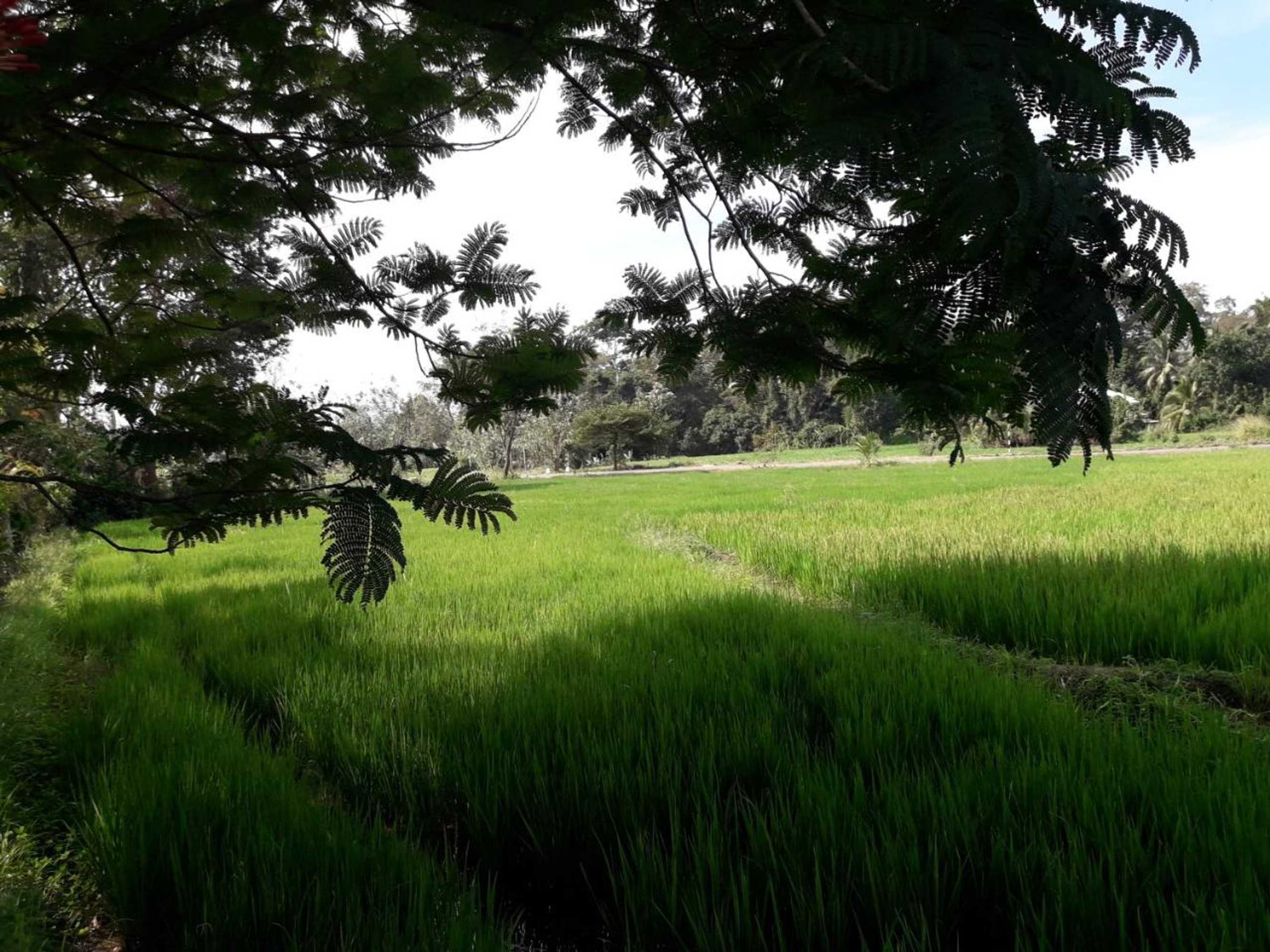 Gift card for Hansika Guest Inn